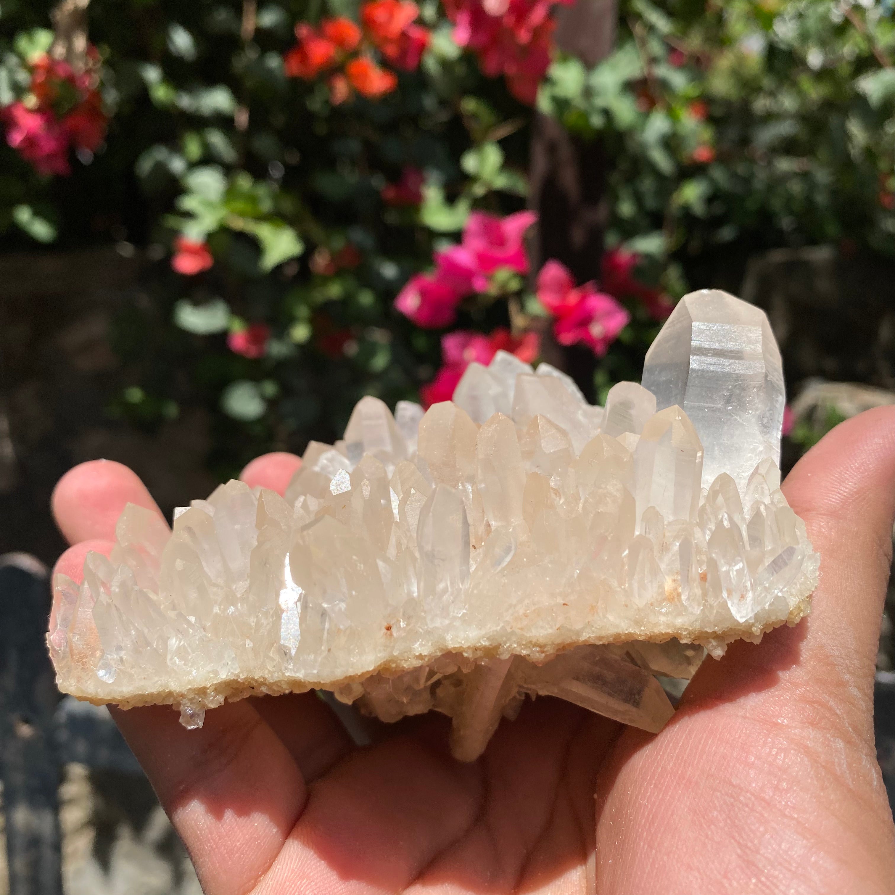 Natural Himalayan Pink Quartz Crystal Cluster with White Phantom Healing Energy Specimen