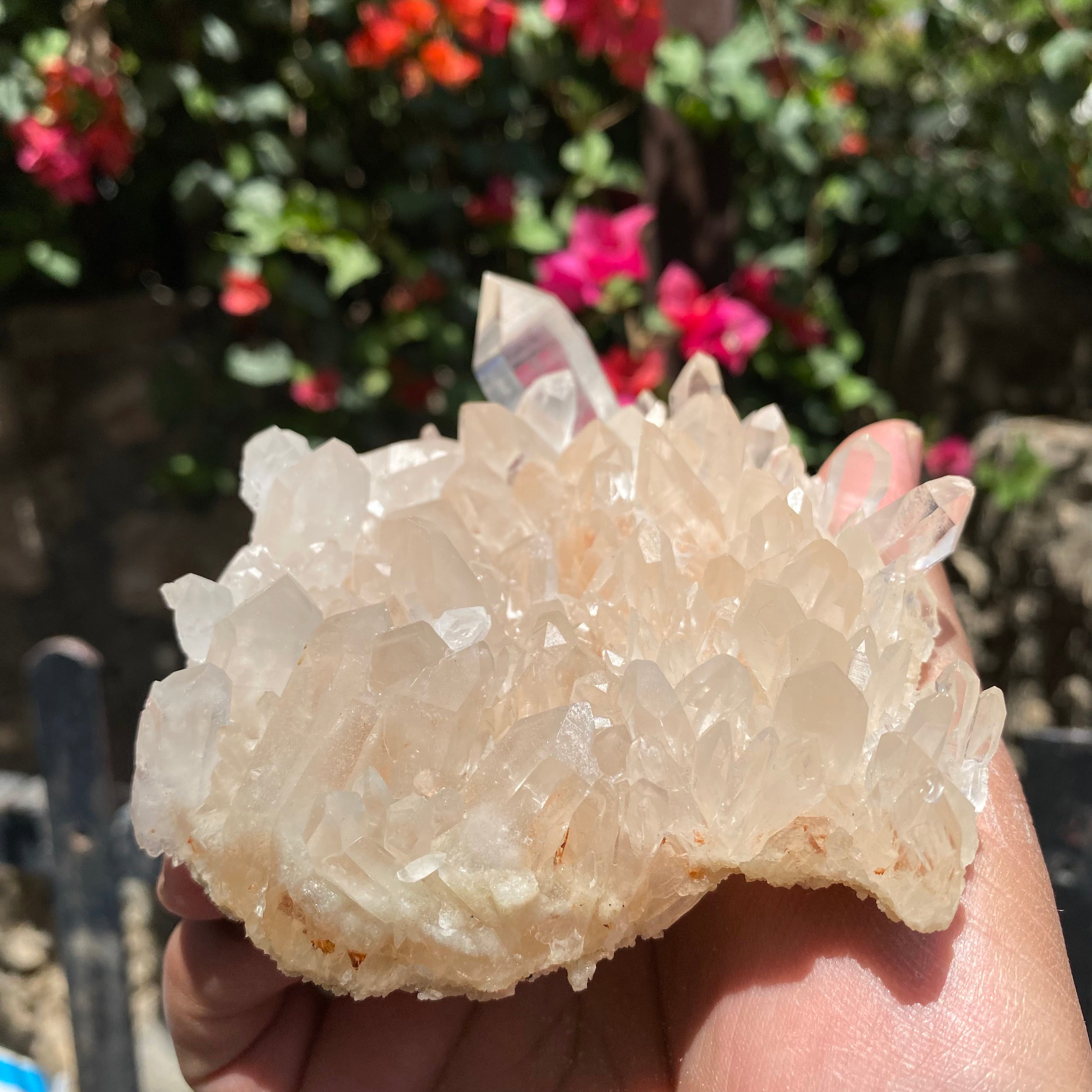 Natural Himalayan Pink Quartz Crystal Cluster with White Phantom Healing Energy Specimen
