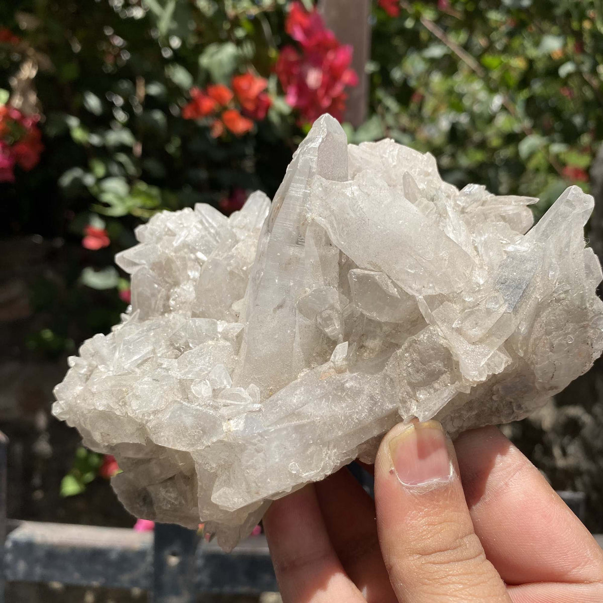 Natural Himalayan White Quartz Cluster Raw Mineral Specimen