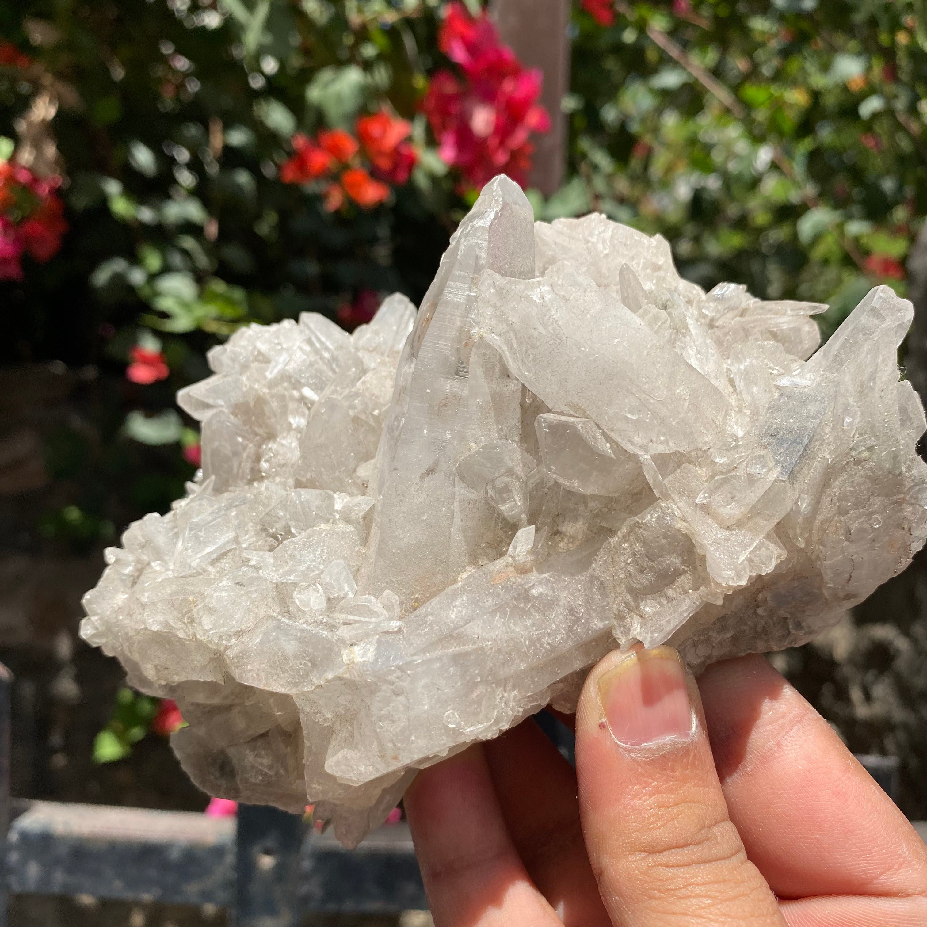 Natural Himalayan White Quartz Crystal Cluster Bright Healing Energy Display Specimen