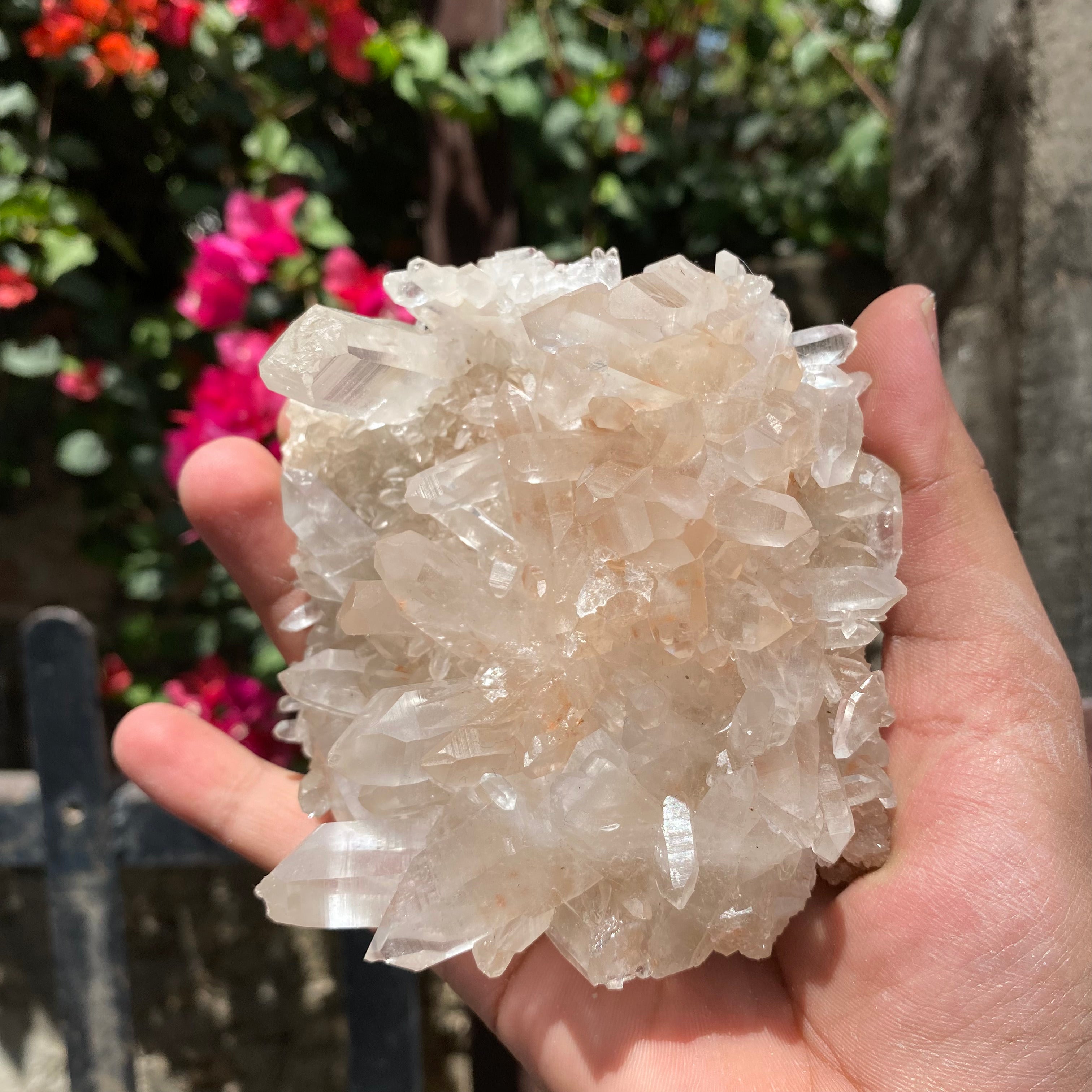 Natural Himalayan Pink Quartz Crystal Cluster Healing Energy Display Specimen