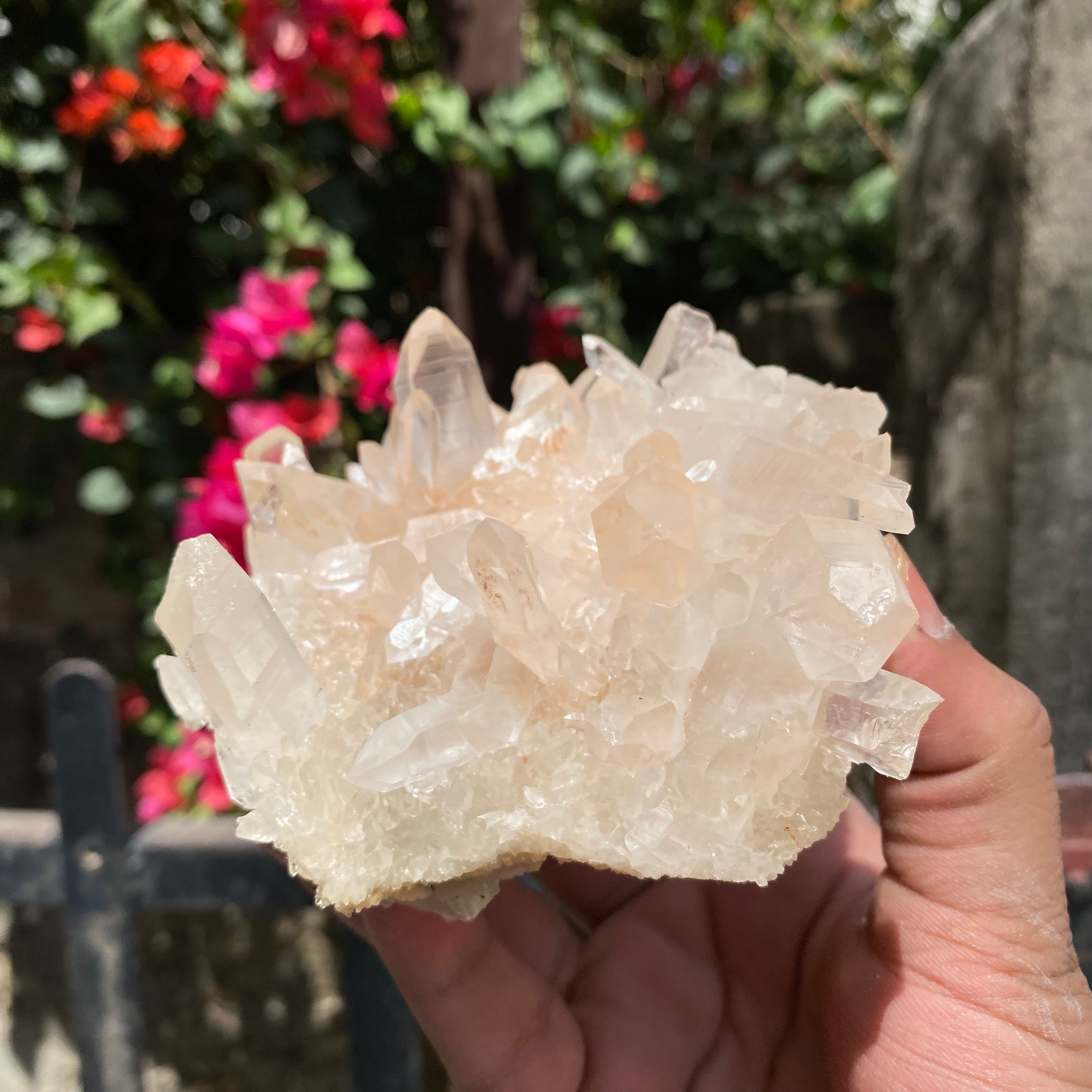 Natural Himalayan Pink Quartz Crystal Cluster Healing Energy Display Specimen