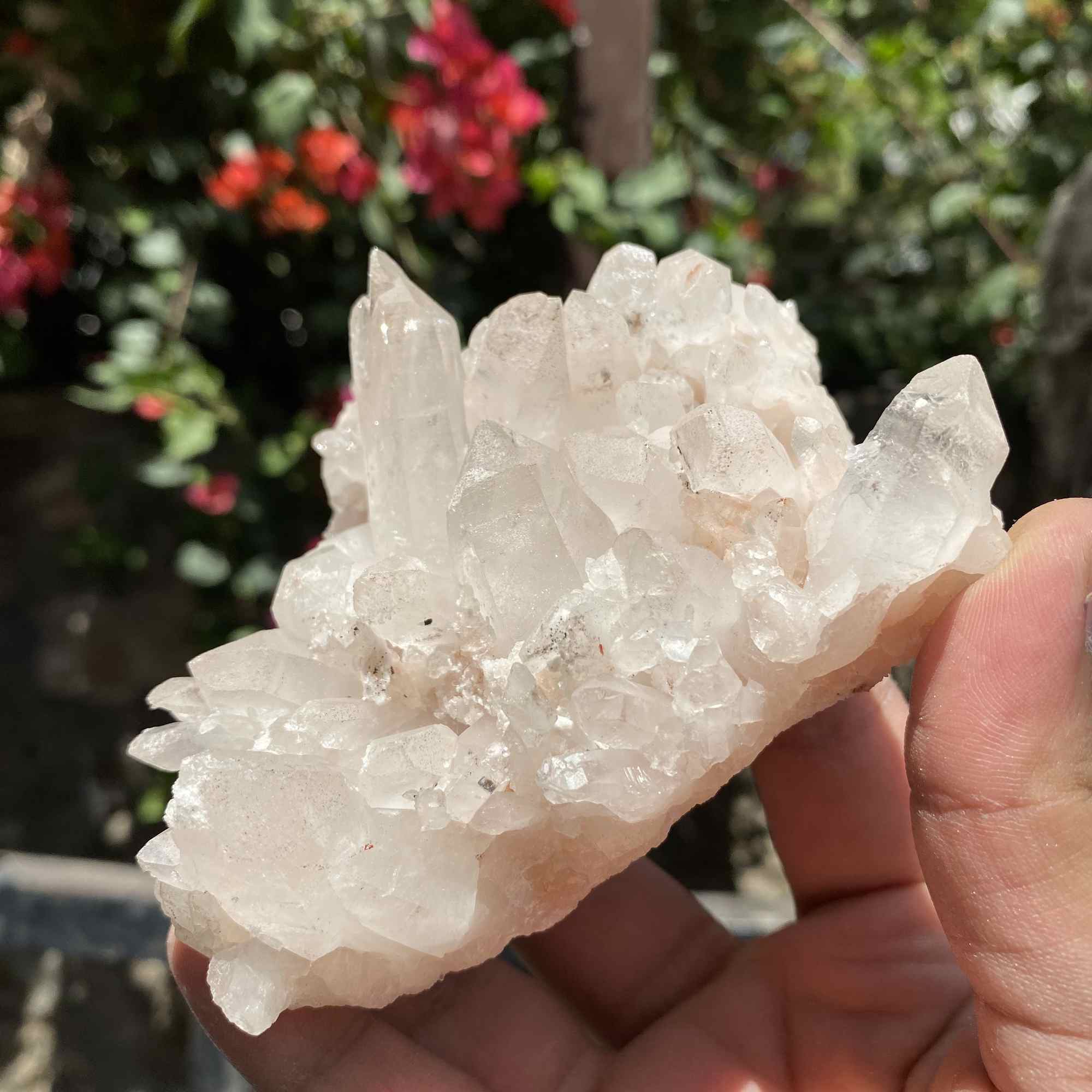 Natural Himalayan Pink Quartz Cluster Raw Mineral Specimen