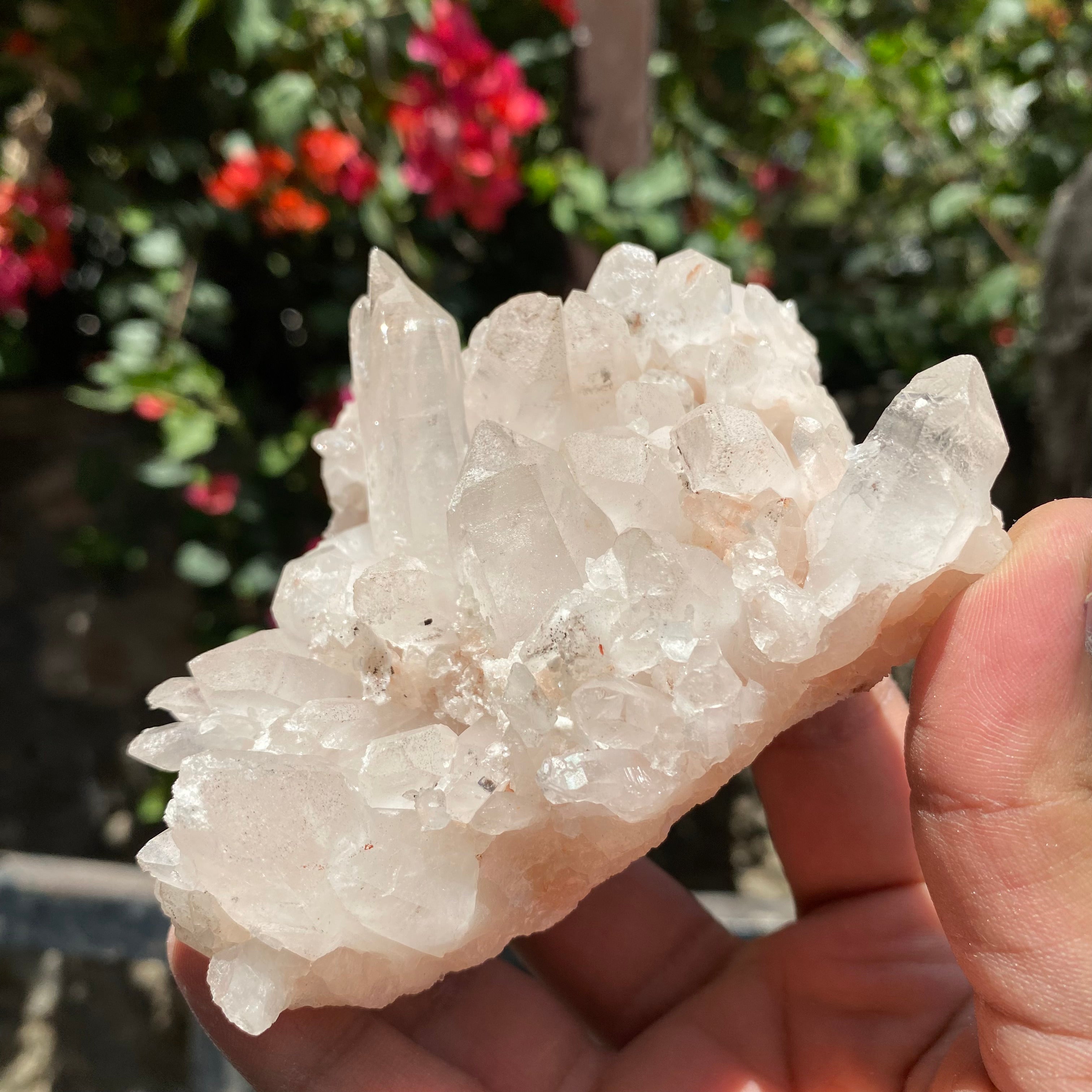 Natural Himalayan Pink Quartz Crystal Cluster Healing Energy Specimen