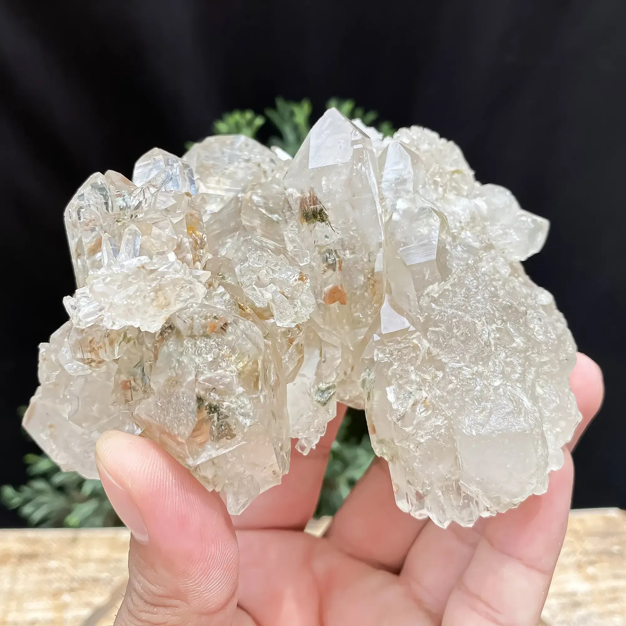 Natural Clear Quartz Cluster 575g Himalayan Quartz