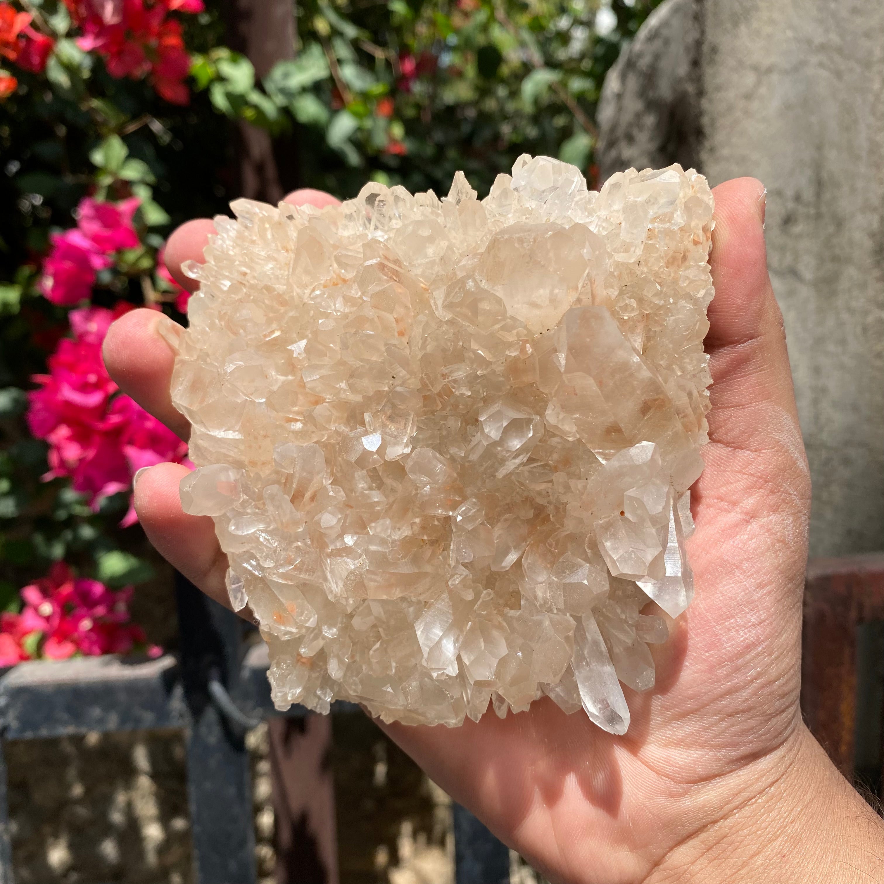 Natural Himalayan Pink Quartz Crystal Cluster Healing Energy Display Specimen