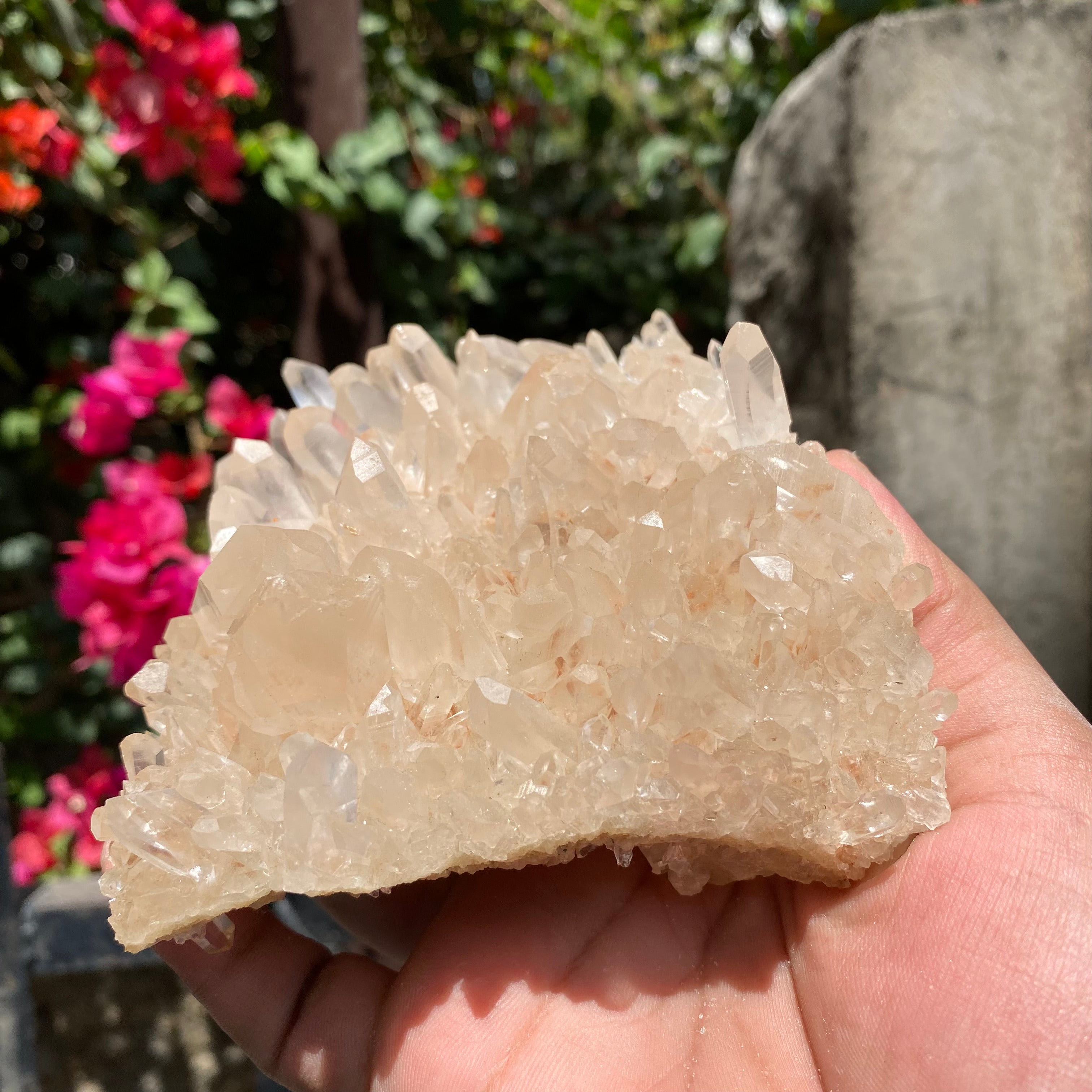Natural Himalayan Pink Quartz Crystal Cluster Healing Energy Display Specimen