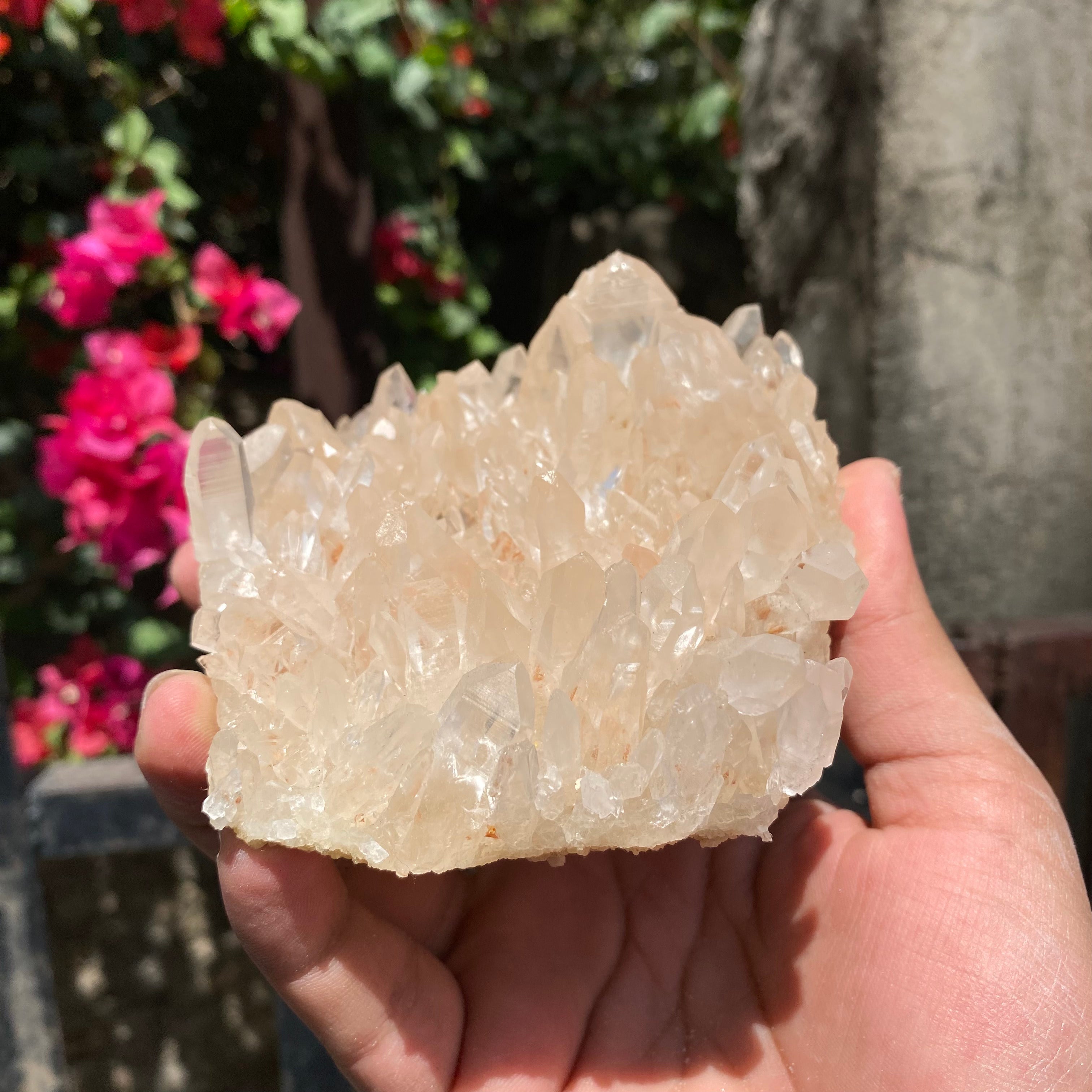 Natural Himalayan Pink Quartz Crystal Cluster Healing Energy Display Specimen