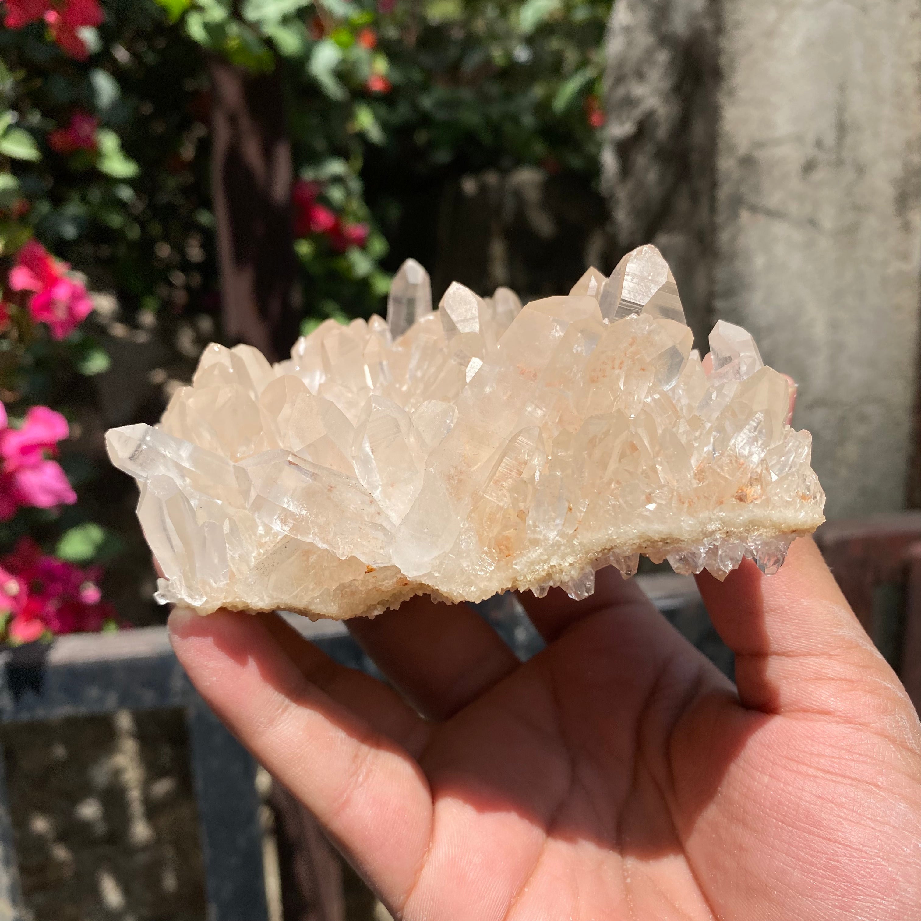 Natural Himalayan Pink Quartz Crystal Cluster Healing Energy Display Specimen