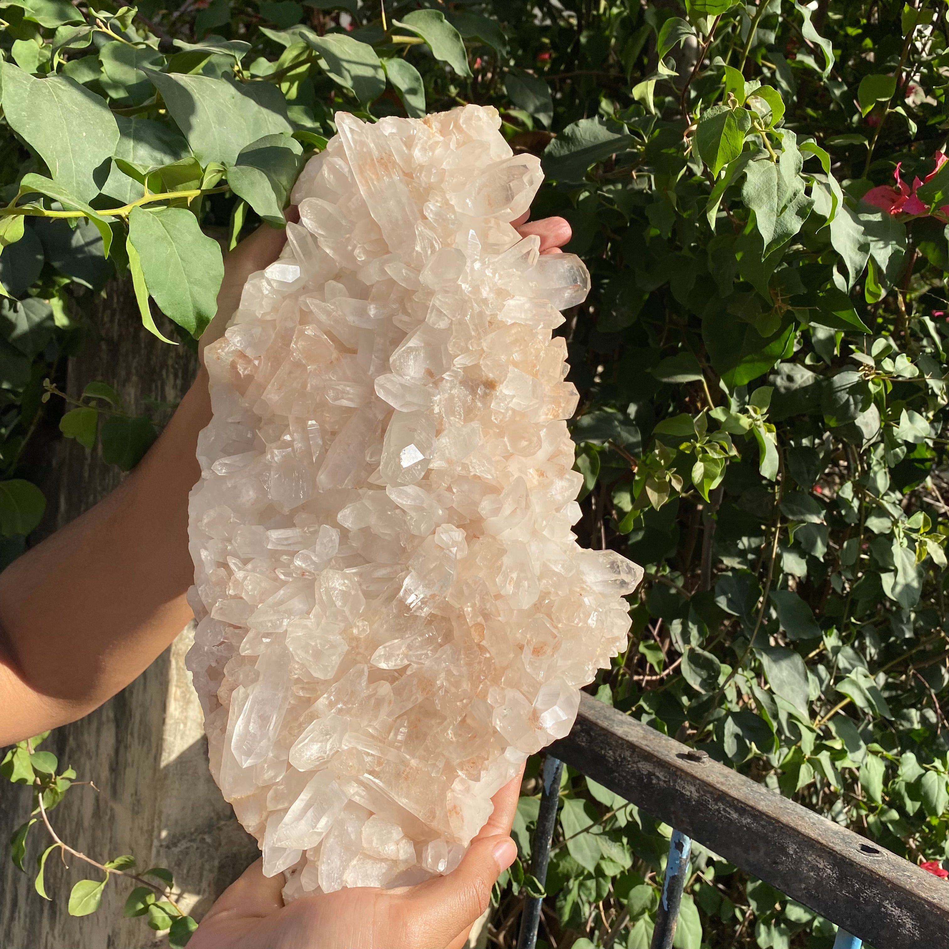 Large Himalayan Pink Quartz cluster with vibrant pink crystals, showcasing natural healing energy and balanced mineral formations.