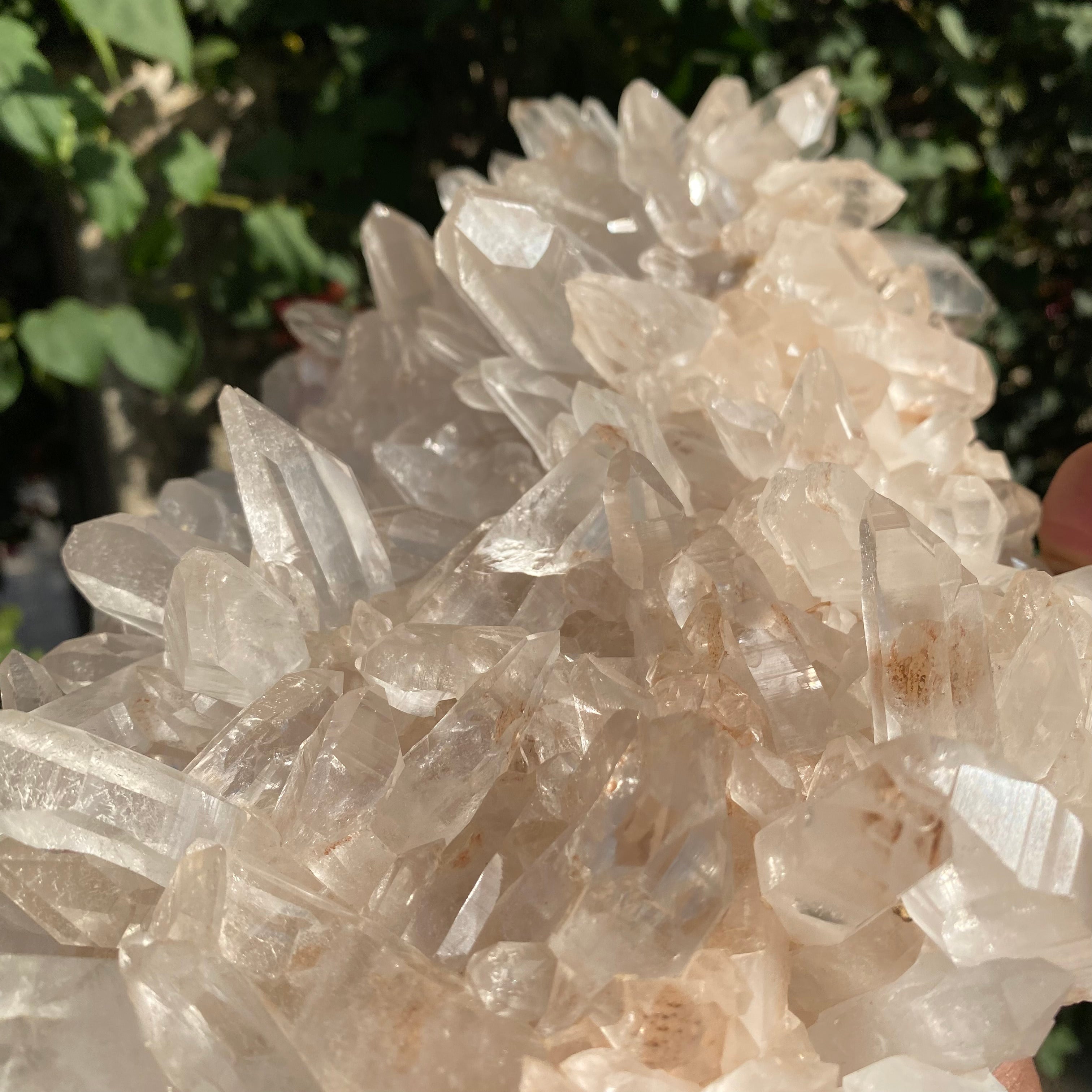 Large Himalayan Pink Quartz cluster with vibrant pink crystals, natural healing crystal for energy and balance by Himalya Quartz.