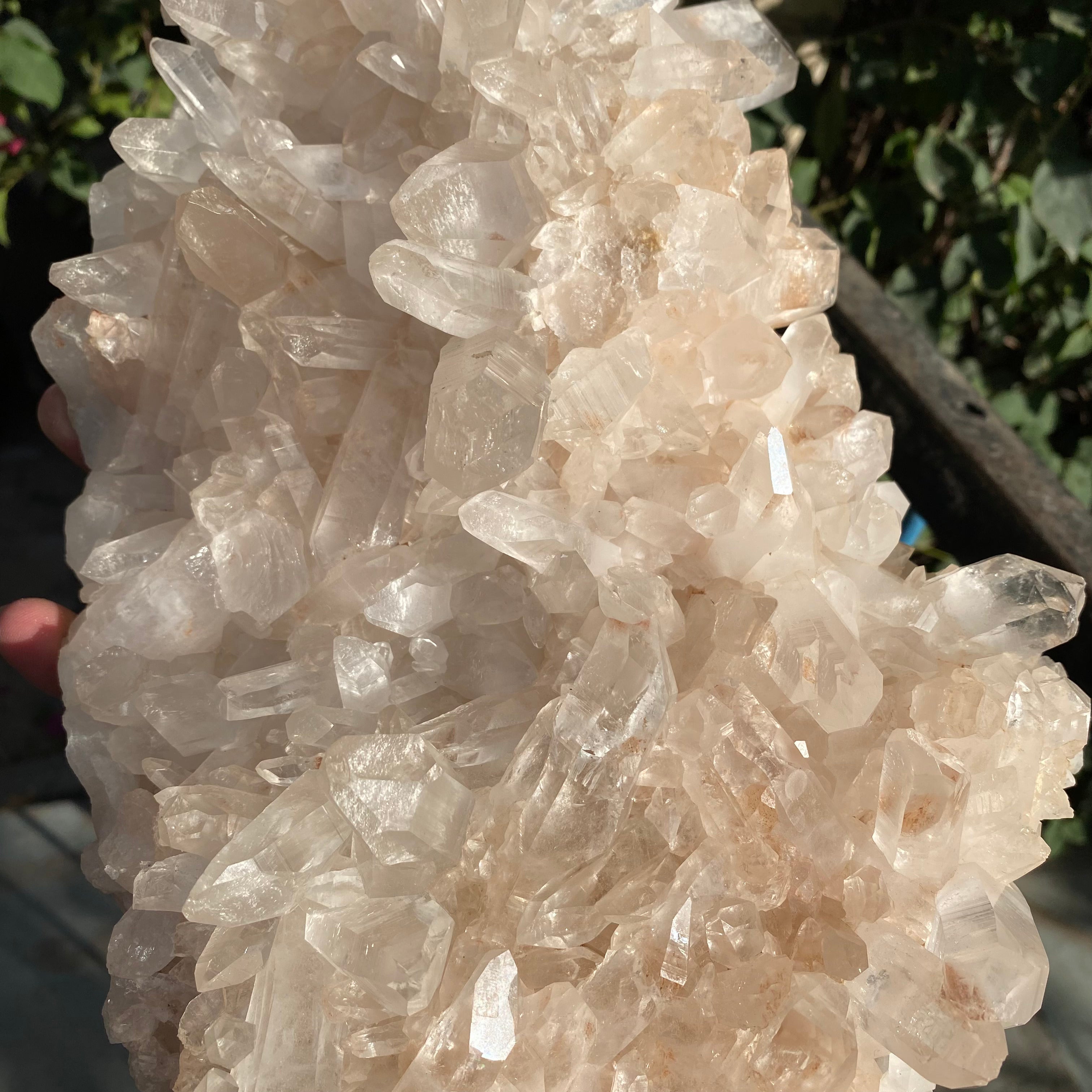 Large Himalayan Pink Quartz cluster with natural crystals, showcasing pink quartz points and rough mineral base for healing and energy.