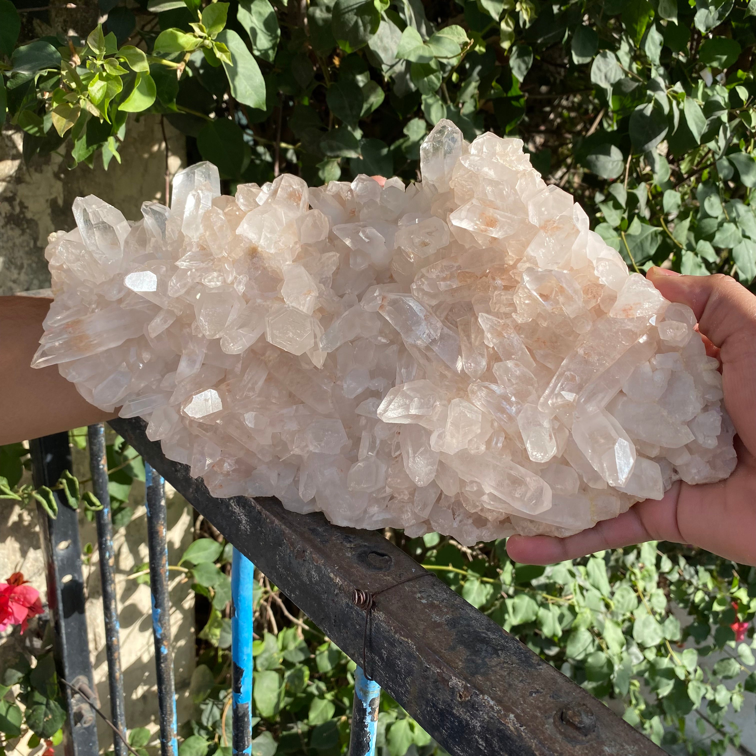 Large Himalayan Pink Quartz cluster by Himalya Quartz, natural healing crystal for energy and balance, with pink and clear quartz formations.