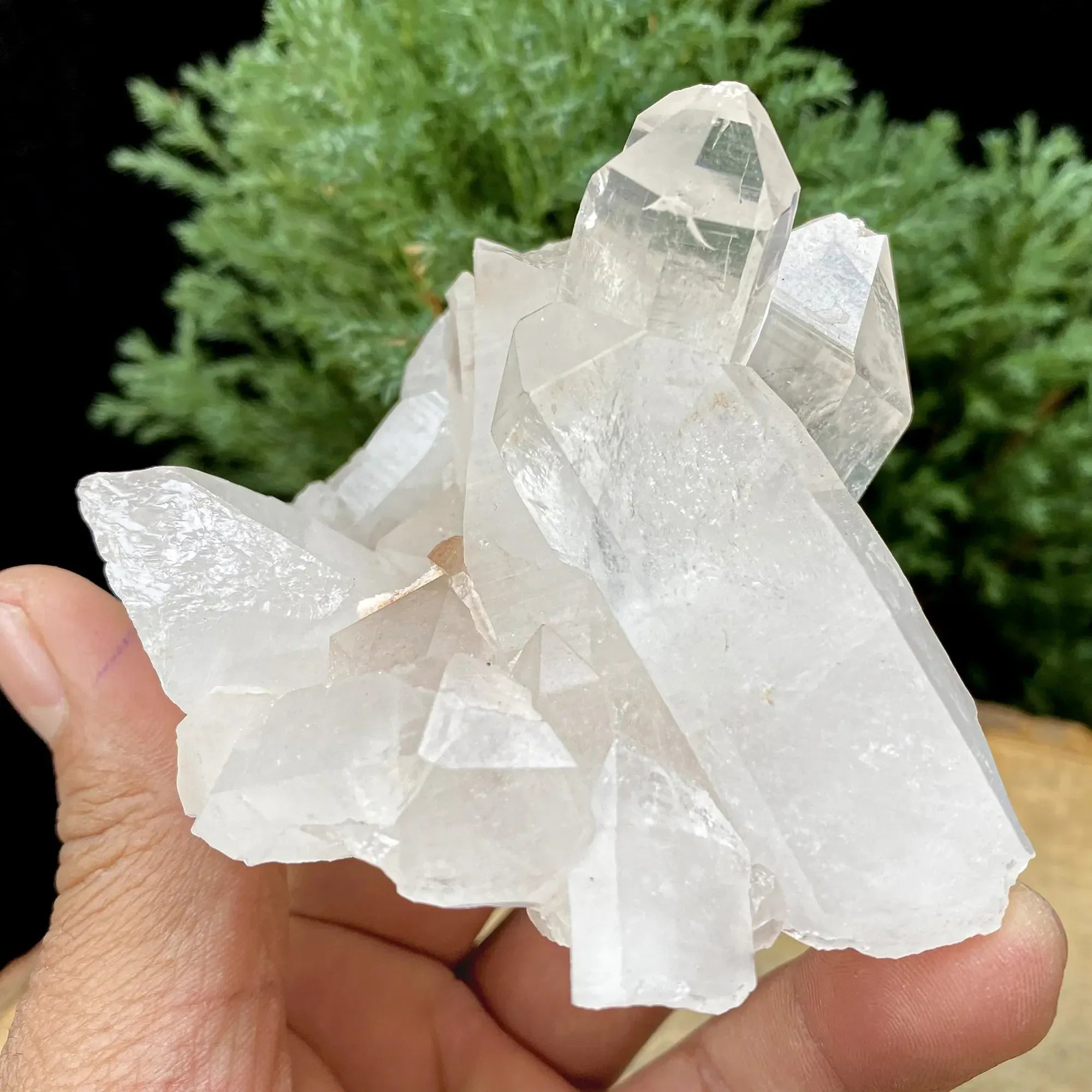 Natural Himalayan White Quartz Cluster 240g Himalayan Quartz