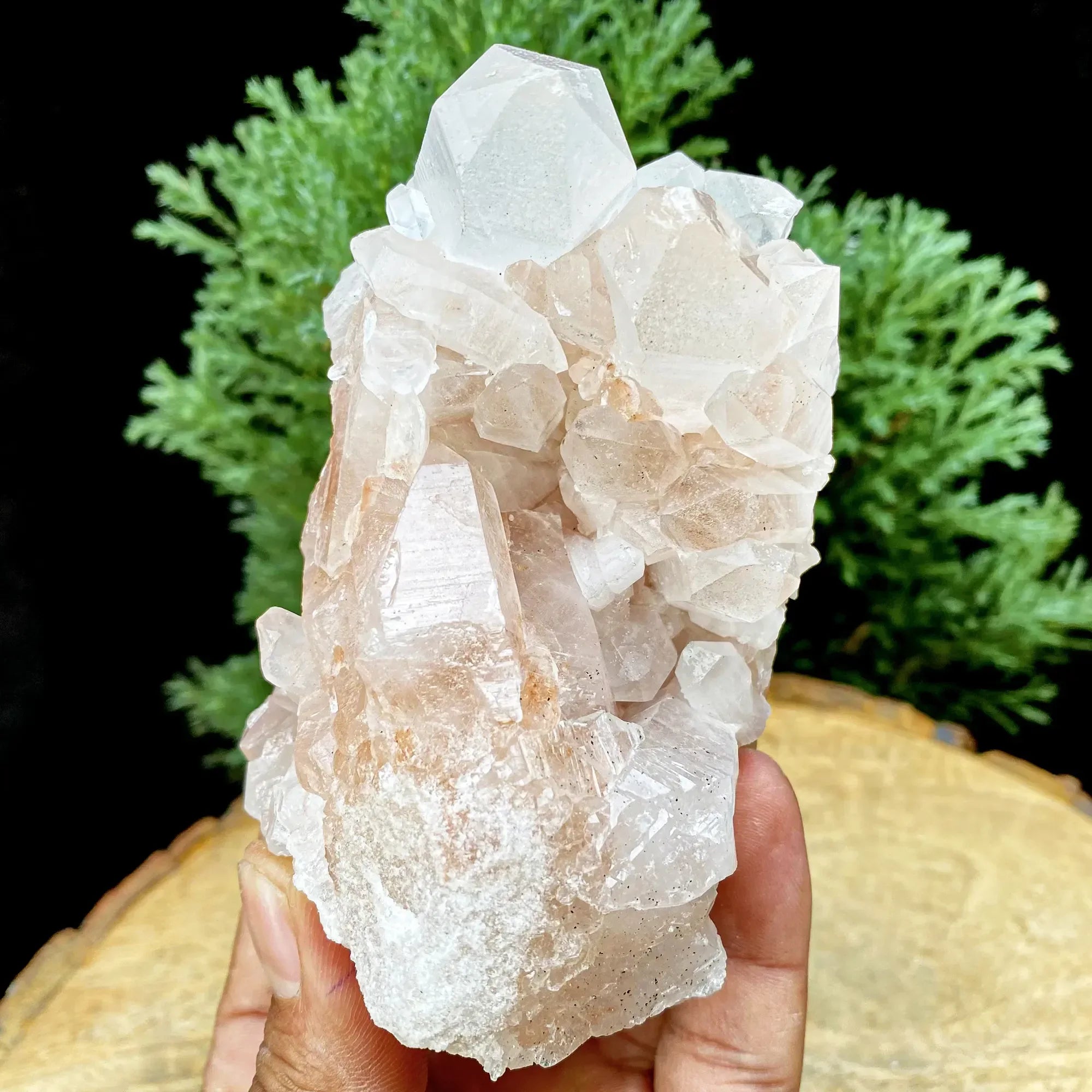 Natural Himalayan Pink Quartz Cluster 355g Himalayan Quartz