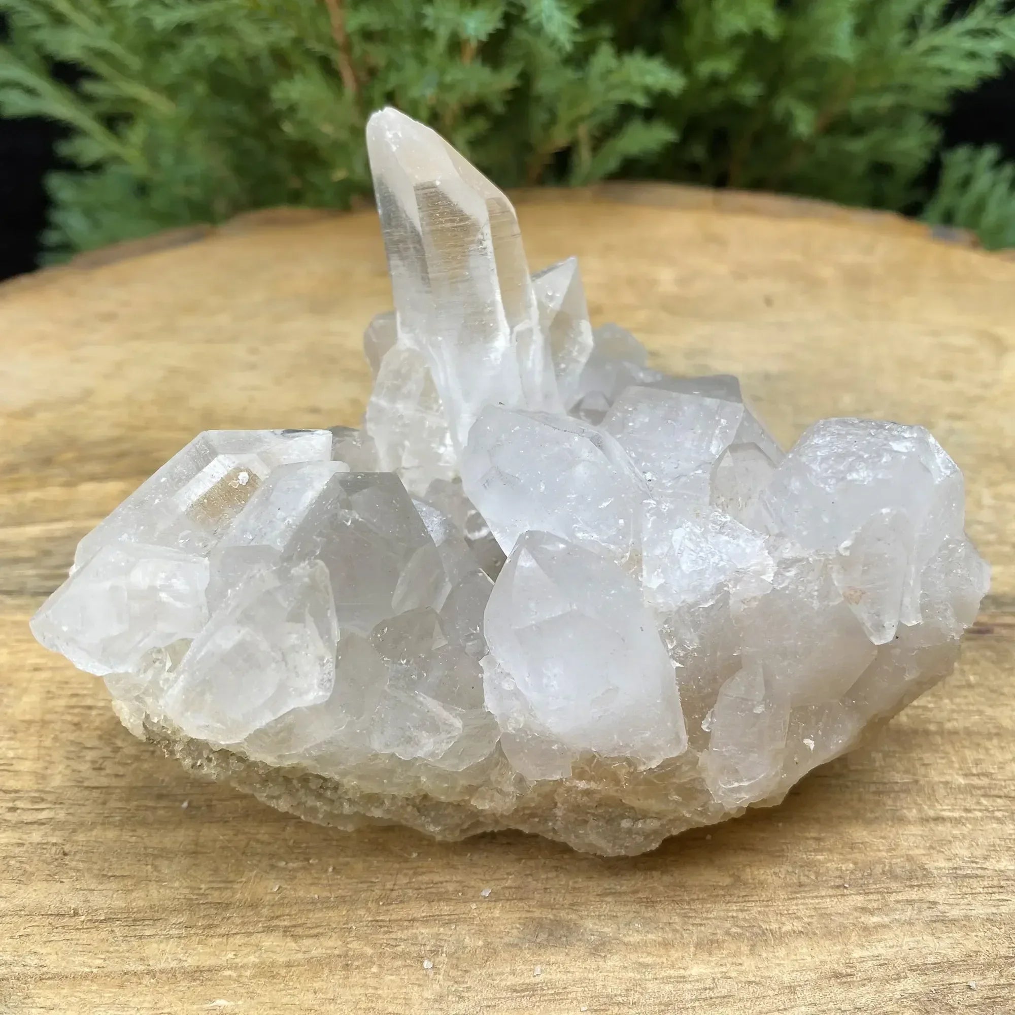 Natural Himalayan White Quartz Cluster 265g Himalayan Quartz
