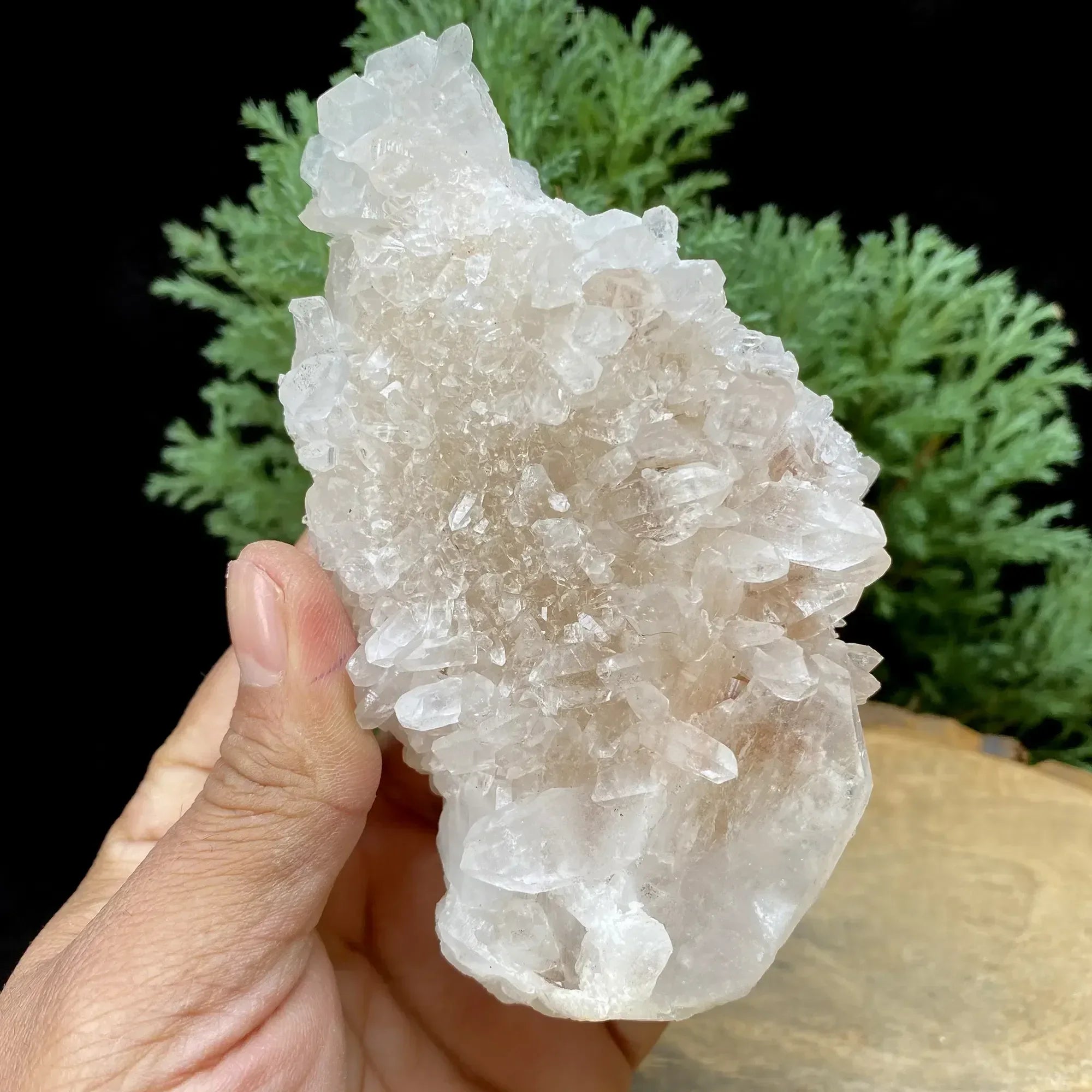 Natural Himalayan Pink Quartz Cluster 350g Himalayan Quartz