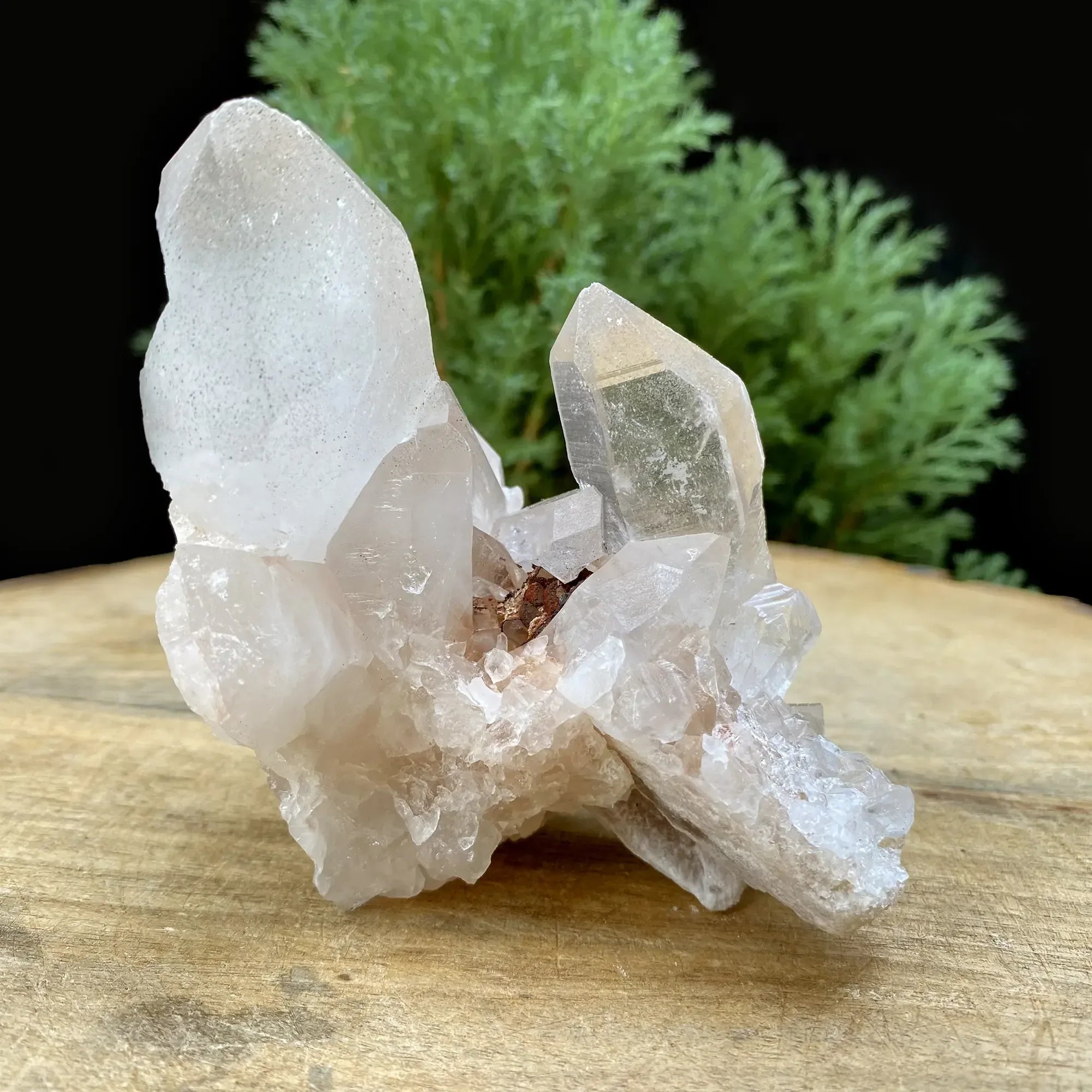 Natural Himalayan White Quartz Cluster 290g Himalayan Quartz
