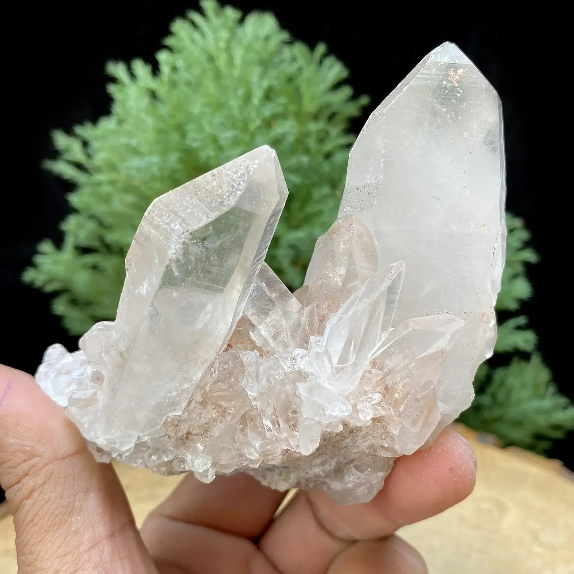 Natural Himalayan White Quartz Cluster 290g Himalayan Quartz