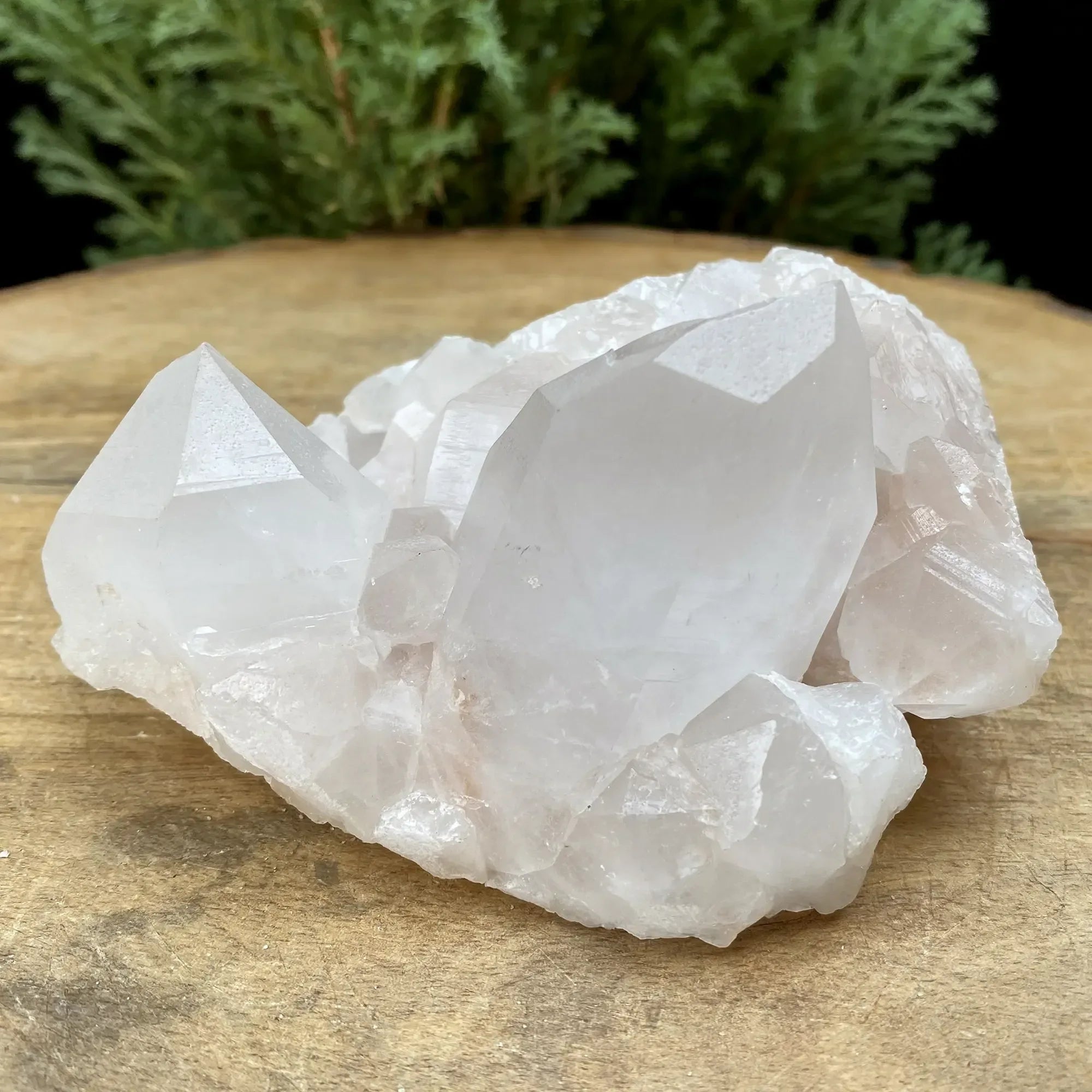 Natural Himalayan White Quartz Cluster 385g Himalayan Quartz