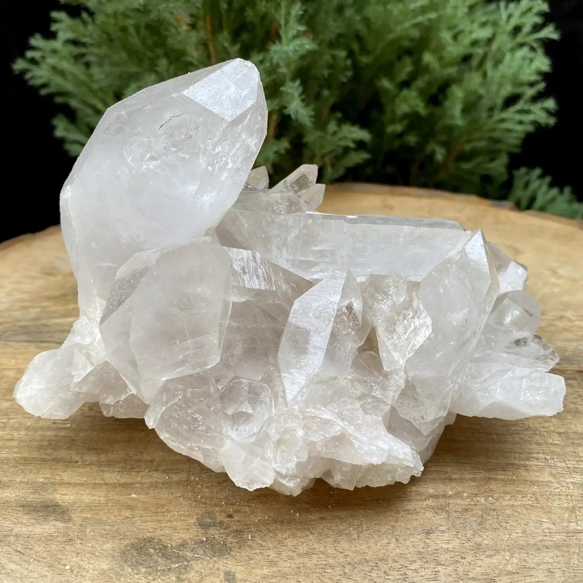 Natural Himalayan White Quartz Cluster 555g Himalayan Quartz