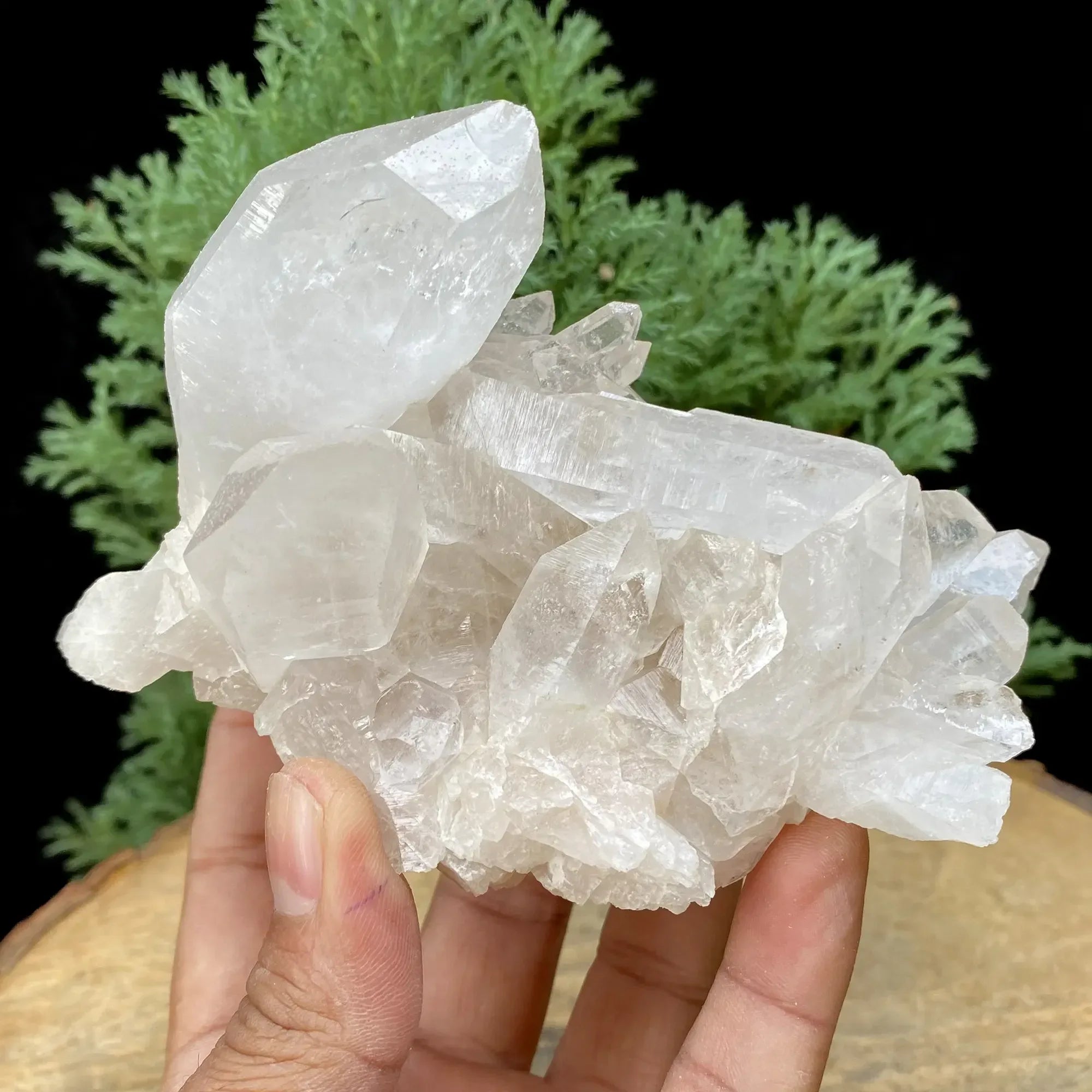 Natural Himalayan White Quartz Cluster 555g Himalayan Quartz