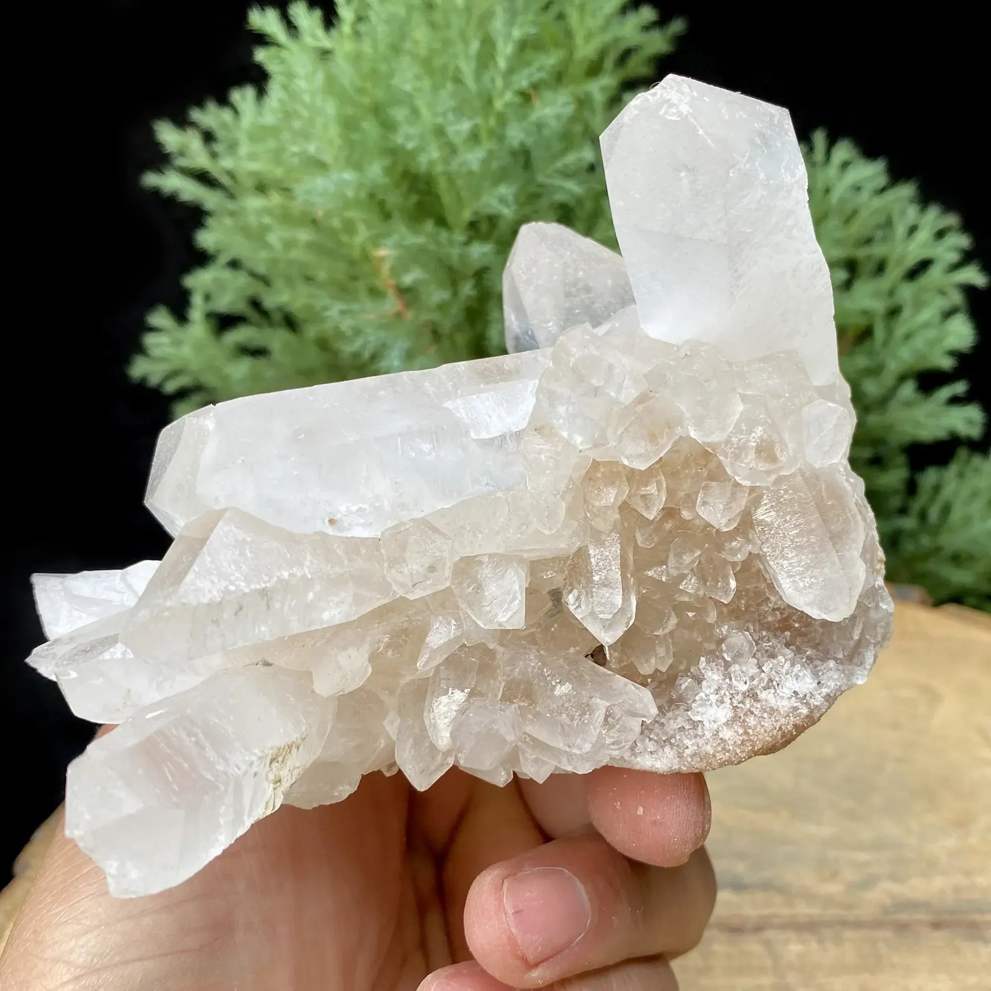 Natural Himalayan White Quartz Cluster 555g Himalayan Quartz