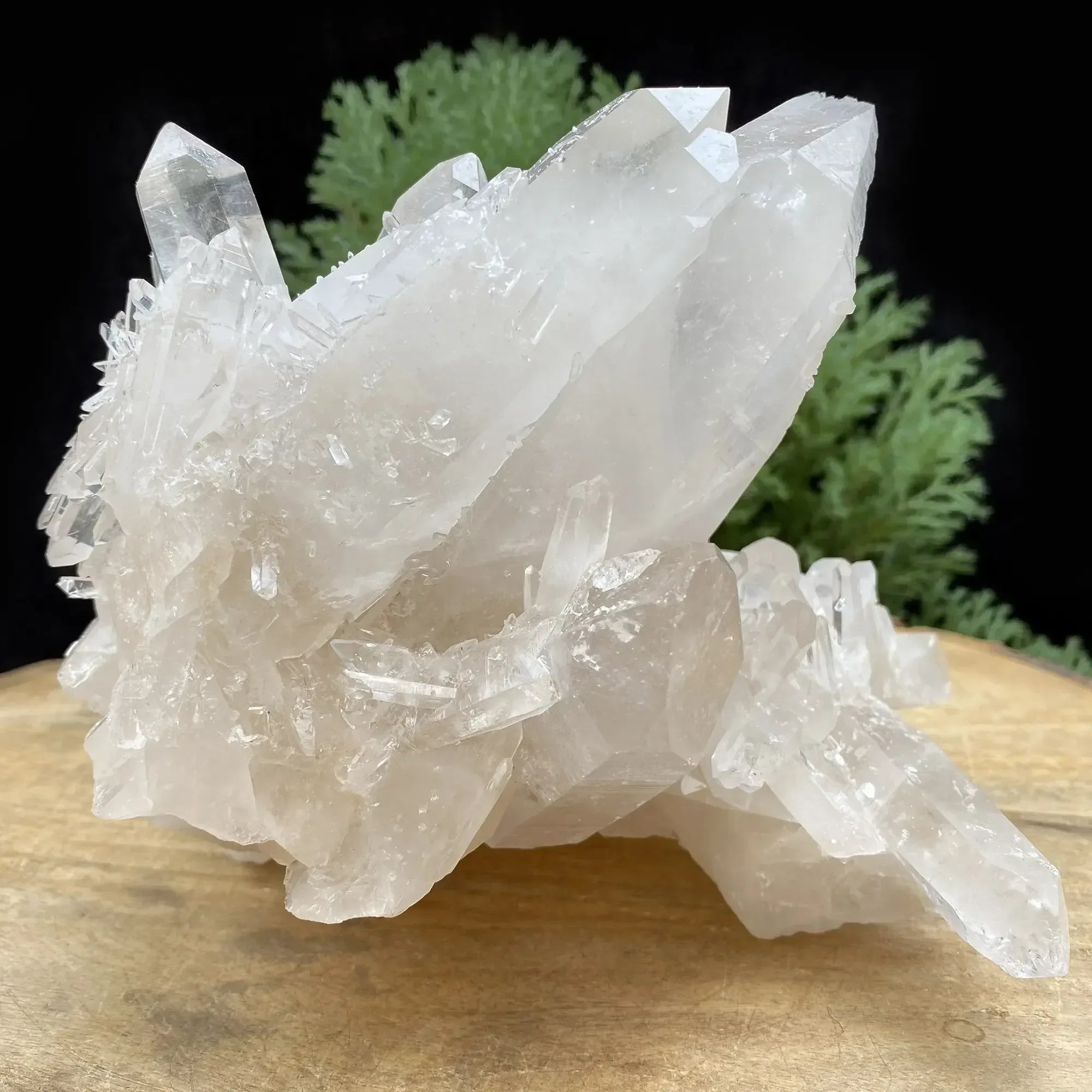 Natural Himalayan White Quartz Cluster 1675g Himalayan Quartz