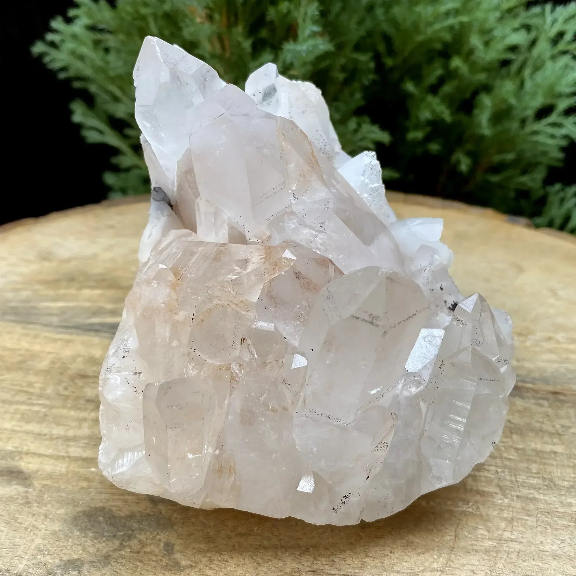 Natural Himalayan Pink Quartz Cluster 745g Himalayan Quartz