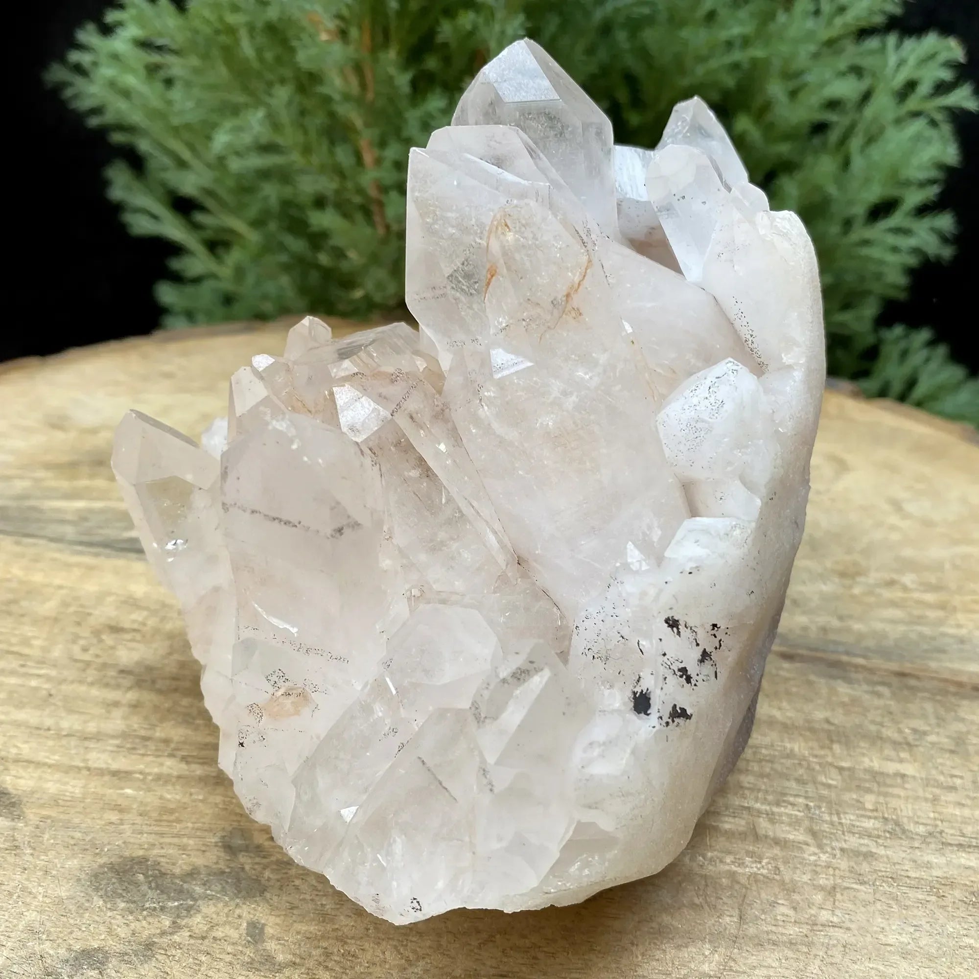 Natural Himalayan Pink Quartz Cluster 745g Himalayan Quartz