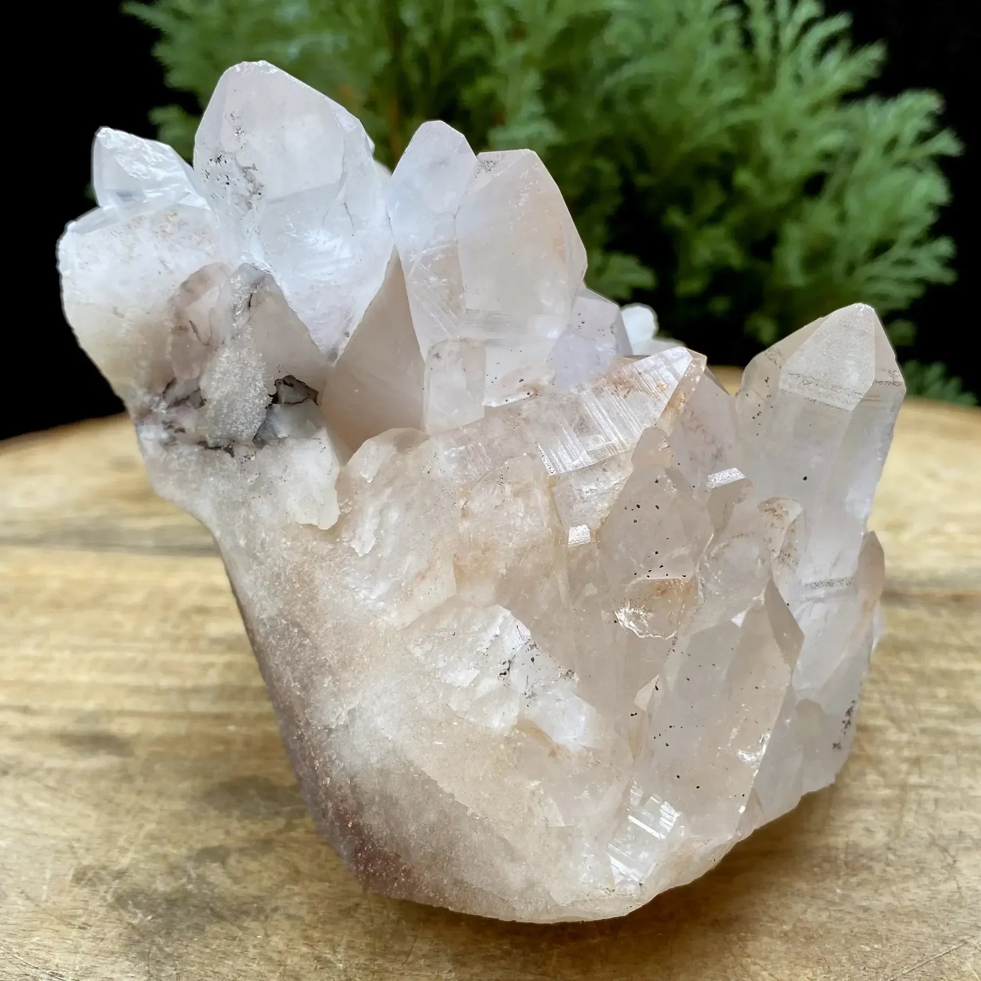 Natural Himalayan Pink Quartz Cluster 745g Himalayan Quartz