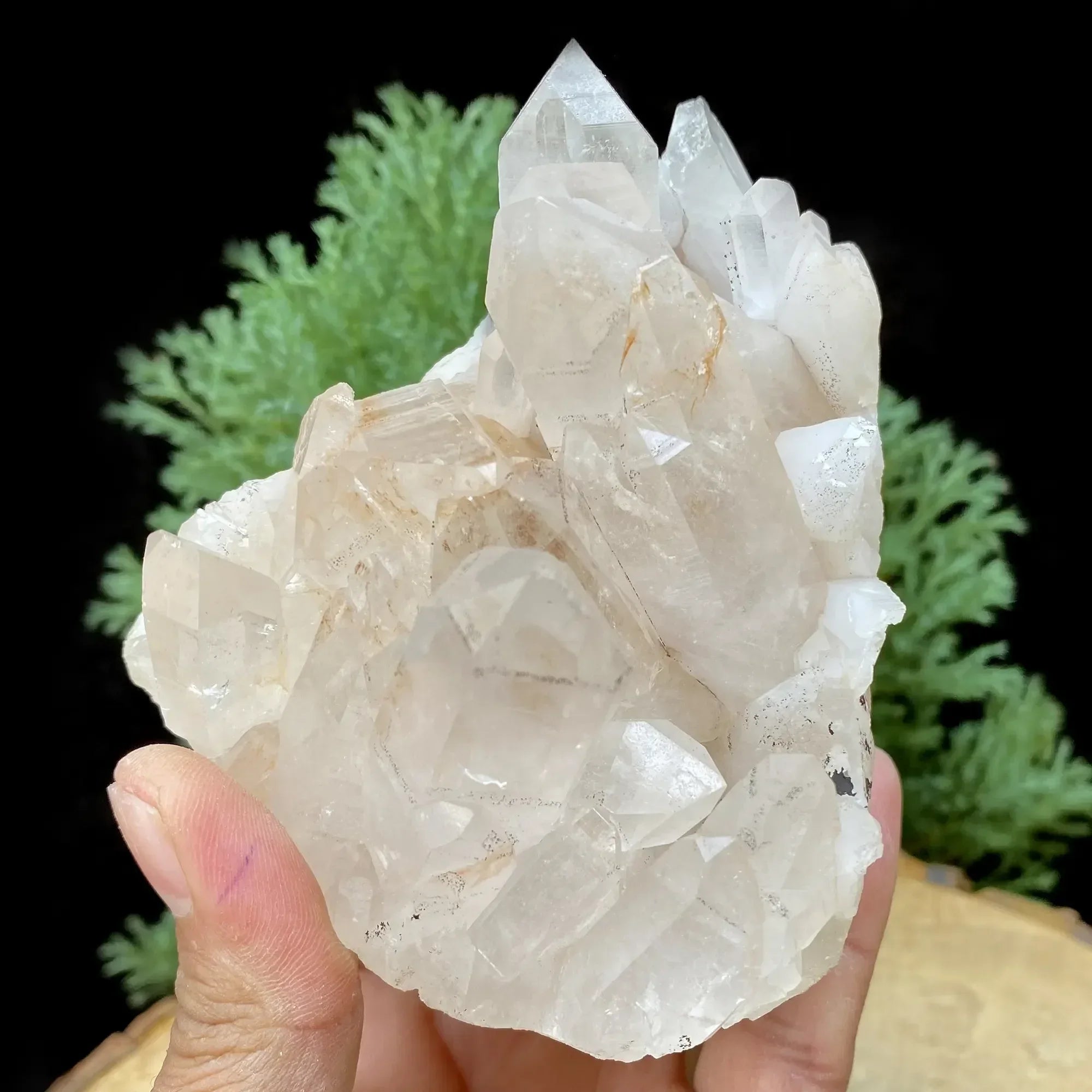 Natural Himalayan Pink Quartz Cluster 745g Himalayan Quartz