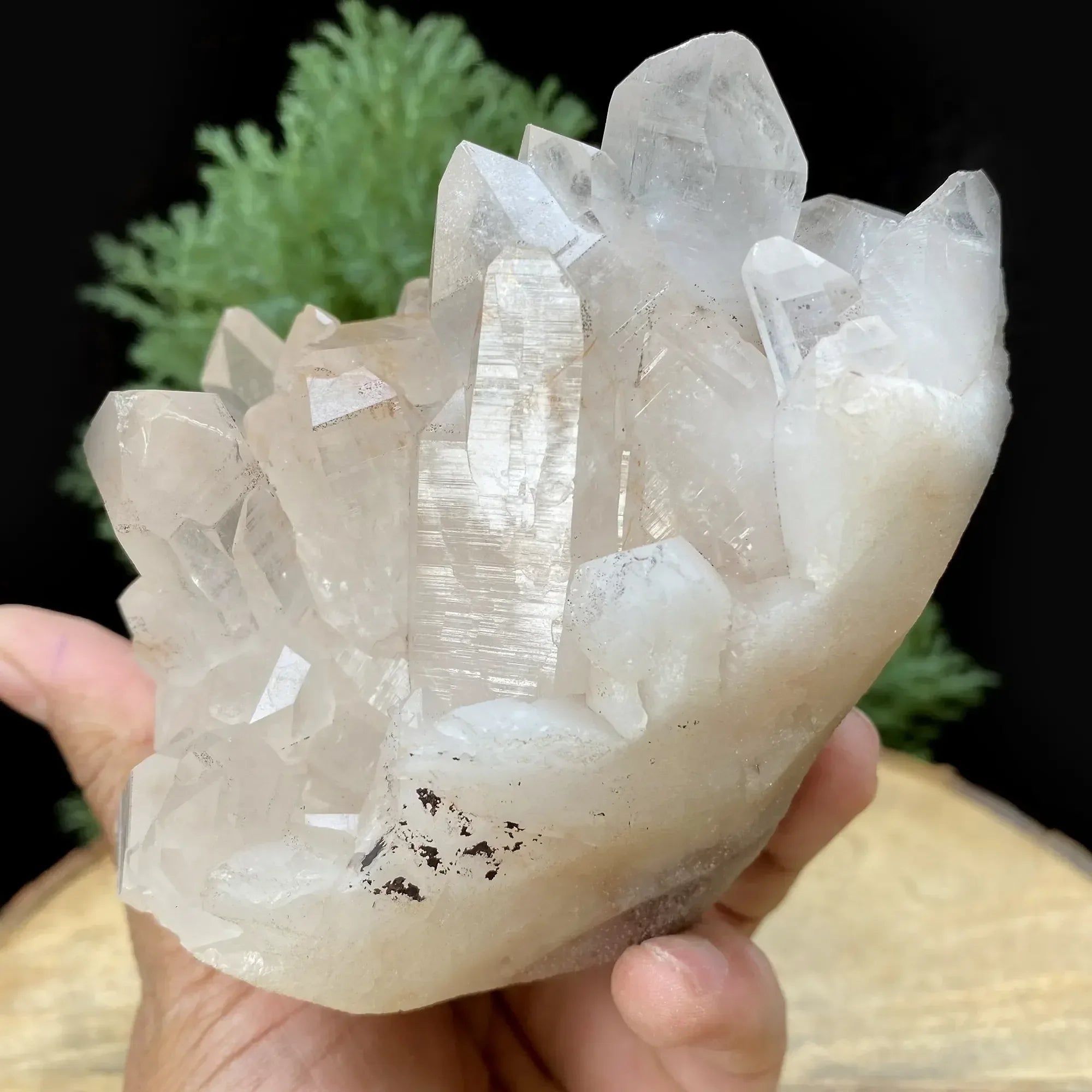 Natural Himalayan Pink Quartz Cluster 745g Himalayan Quartz