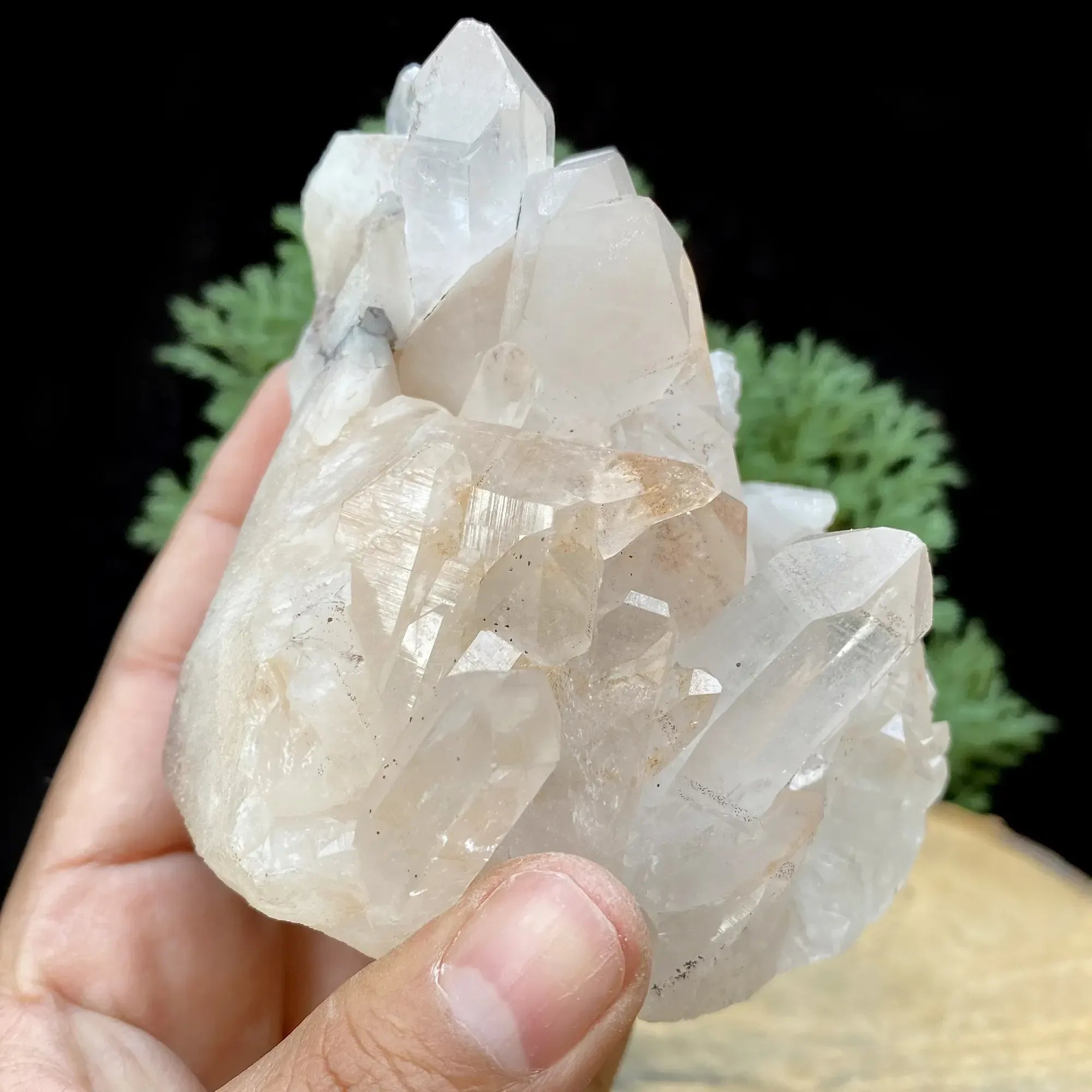 Natural Himalayan Pink Quartz Cluster 745g Himalayan Quartz