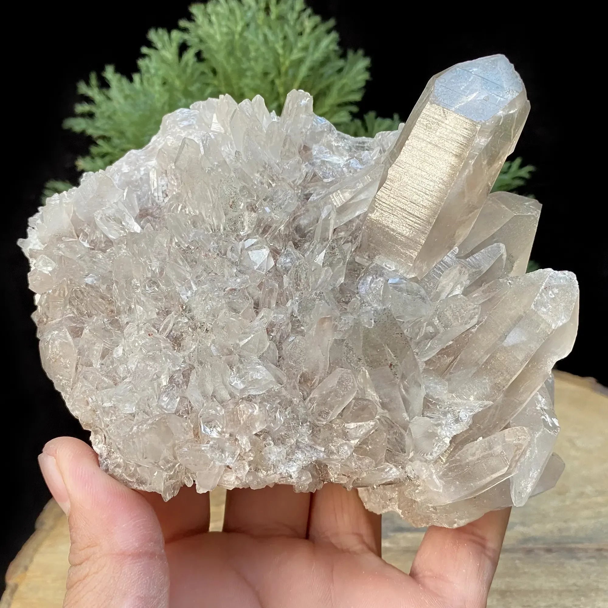 Natural Himalayan Pink Quartz Cluster 850g Himalayan Quartz