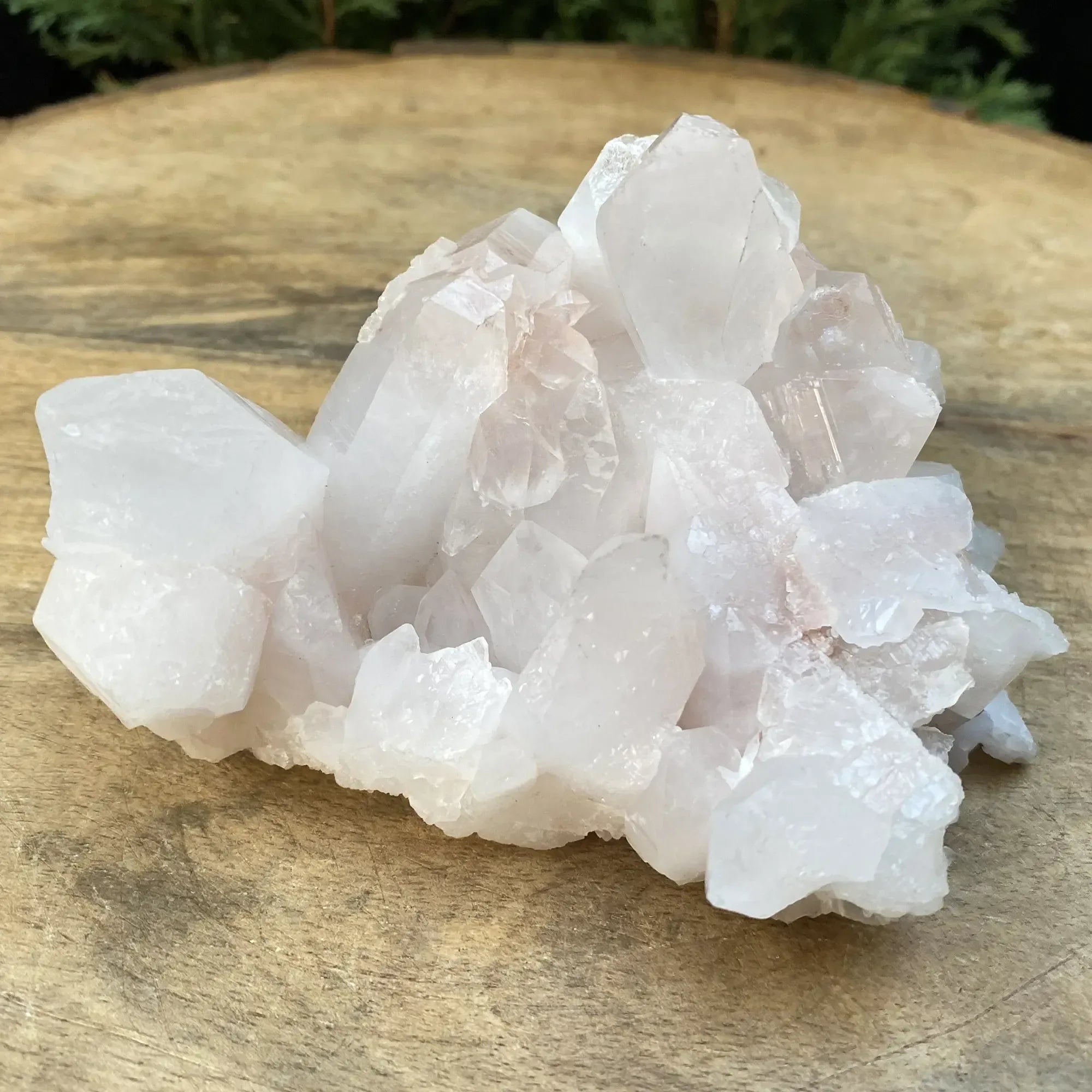Pink Himalayan Quartz Crystal cluster from Himalya Quartz, natural collector display with vibrant pink hues and rugged crystal formations.