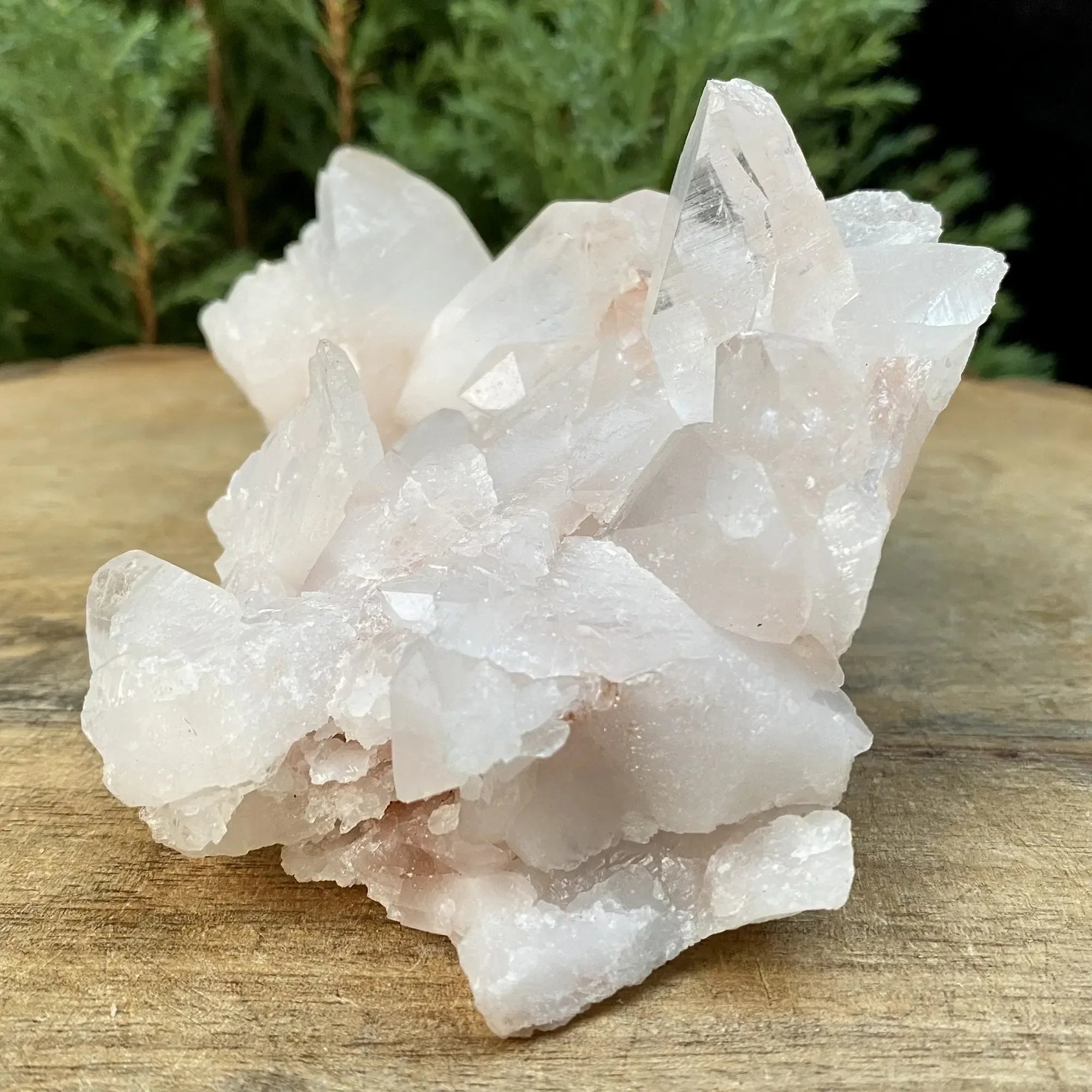 Pink Himalayan Quartz crystal cluster from Himalya Quartz, natural collector display with vibrant pink and clear quartz formations.
