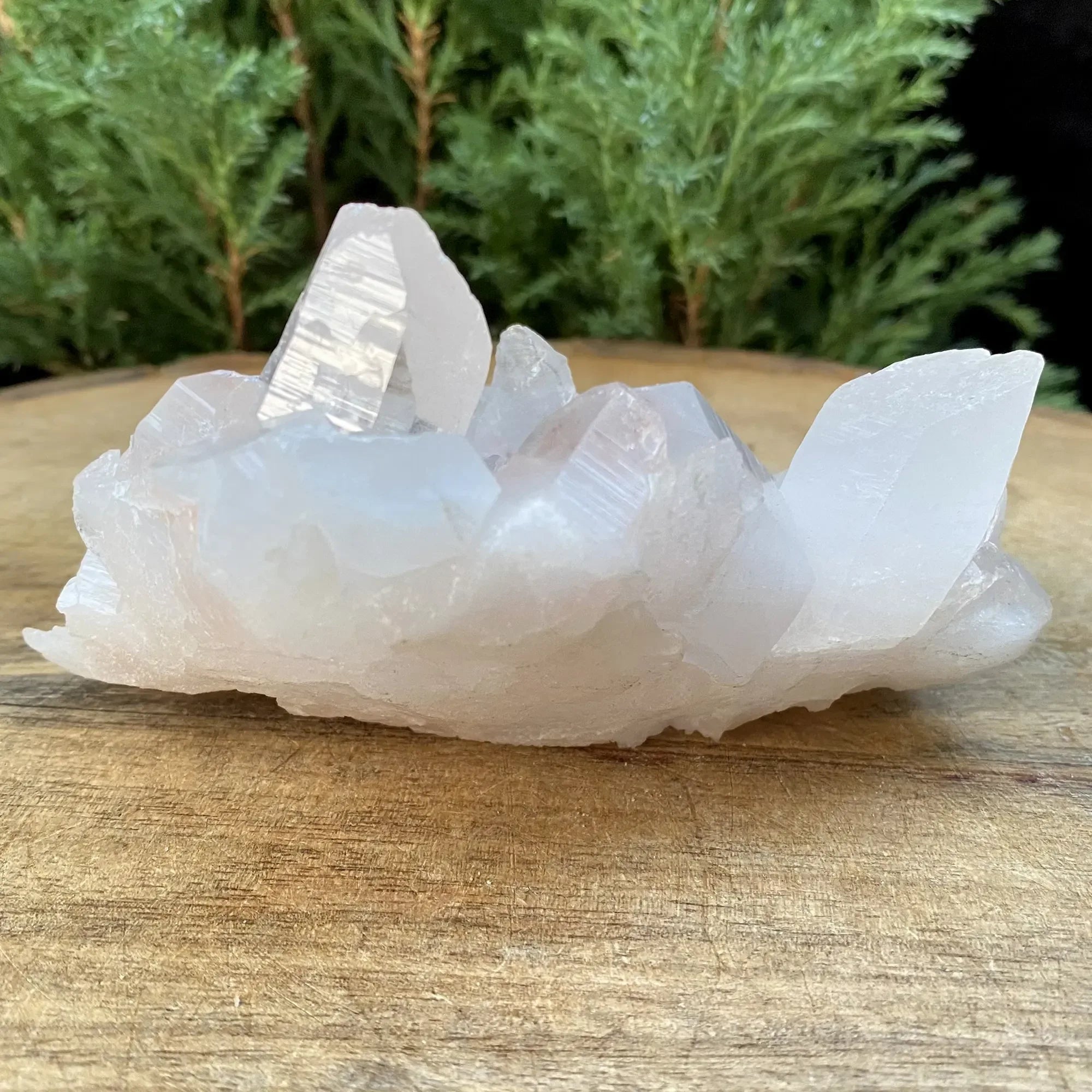 Authentic pink Himalayan quartz crystal cluster from Himalya Quartz, natural collector display with vibrant pink mineral formations.