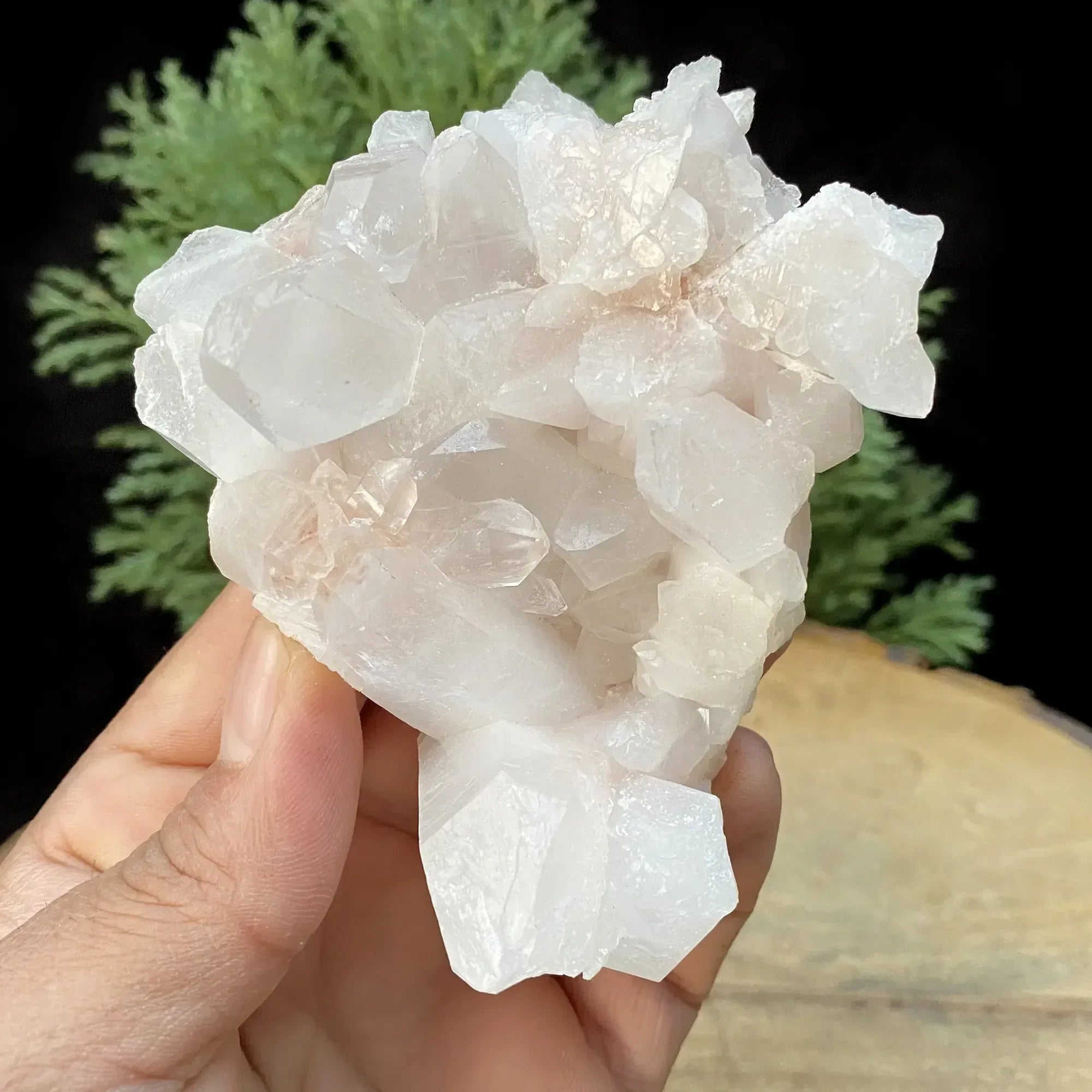 Pink Himalayan Quartz crystal cluster from Himalya Quartz, natural collector display with vibrant pink mineral formations.