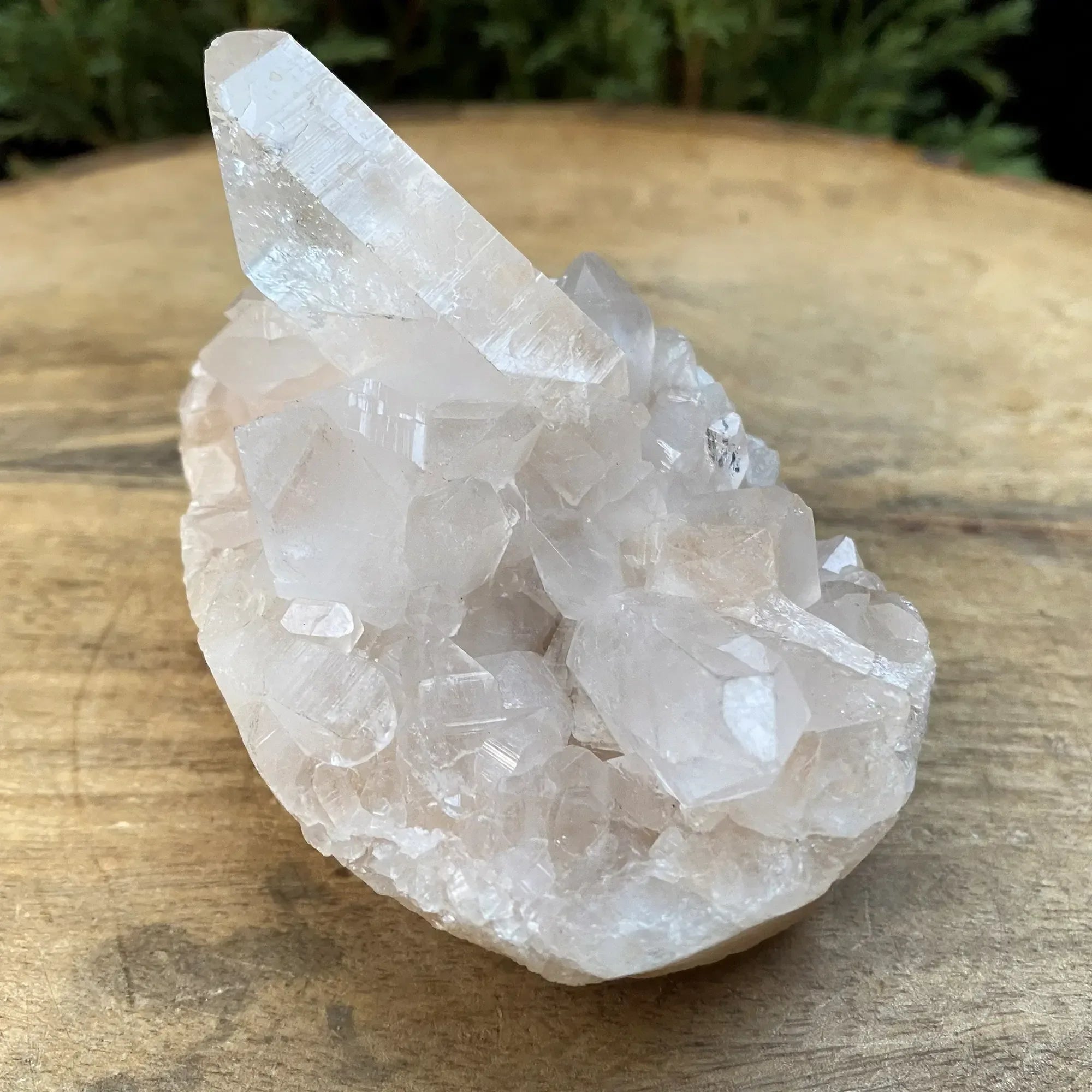 Natural Himalayan Pink Quartz Cluster 245g Himalayan Quartz