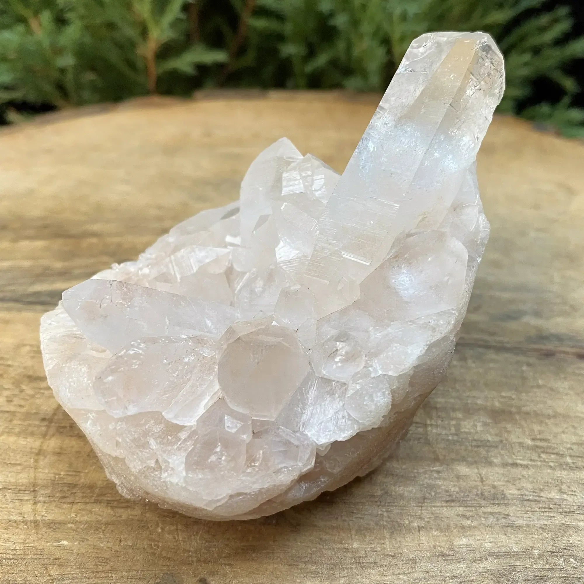 Natural Himalayan Pink Quartz Cluster 245g Himalayan Quartz
