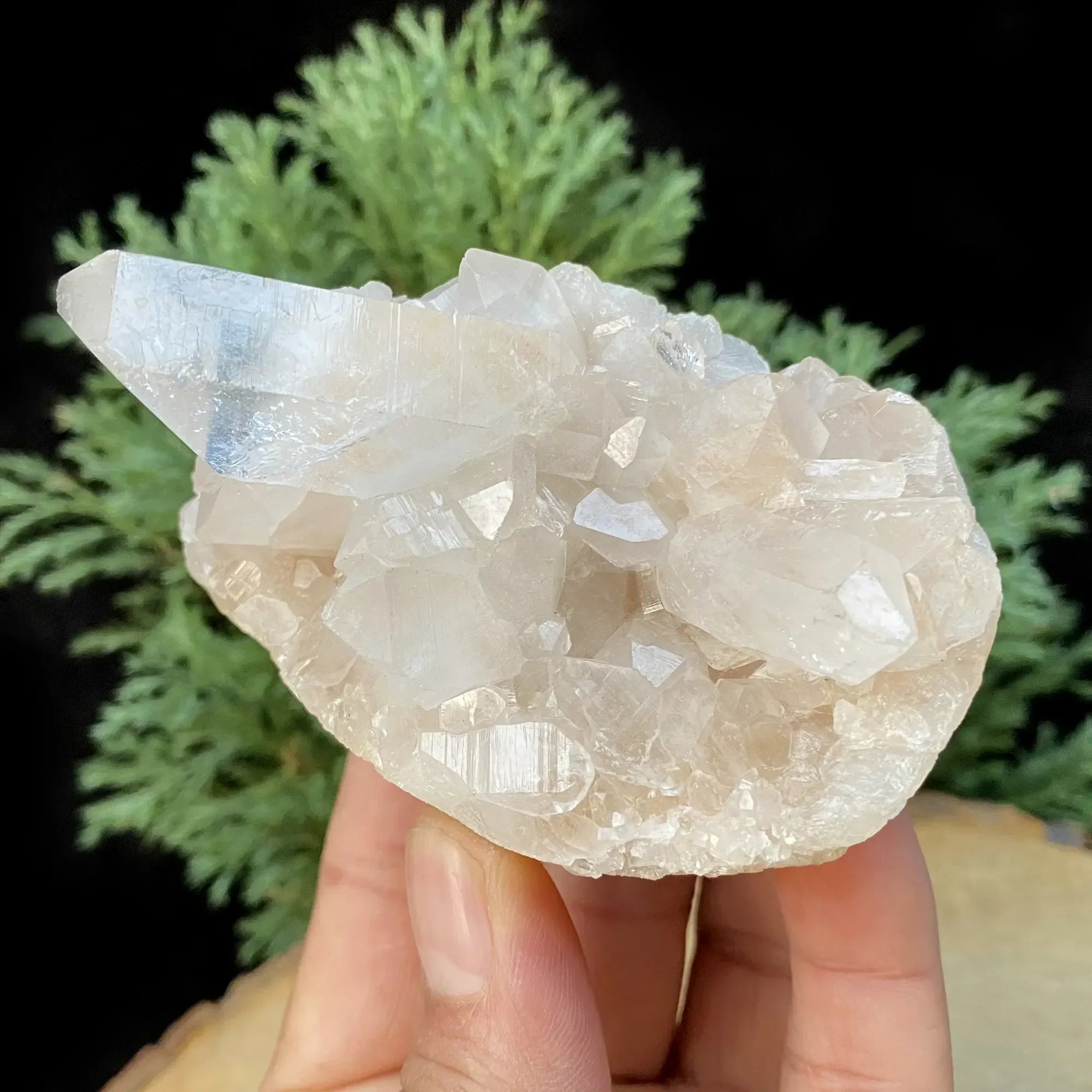 Natural Himalayan Pink Quartz Cluster 245g Himalayan Quartz
