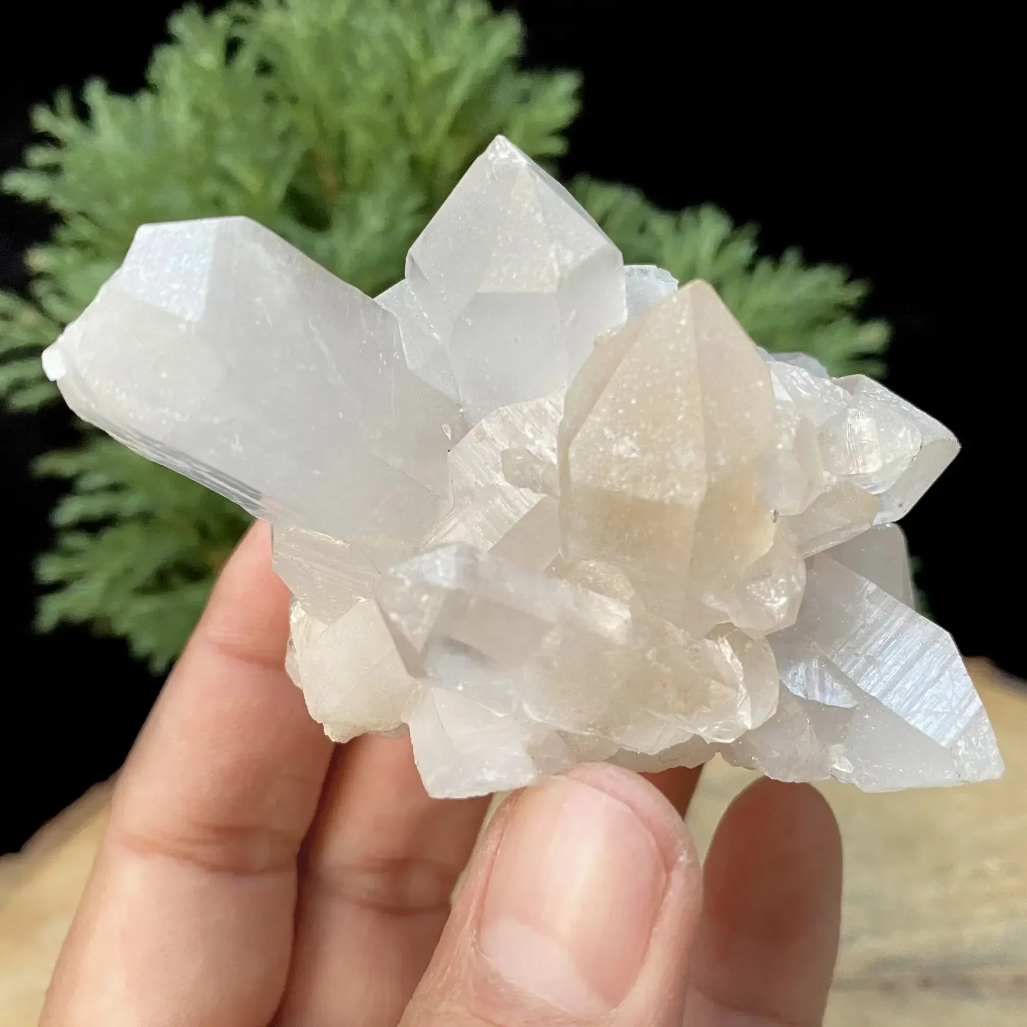 Natural Himalayan Pink Quartz Cluster 205g Himalayan Quartz