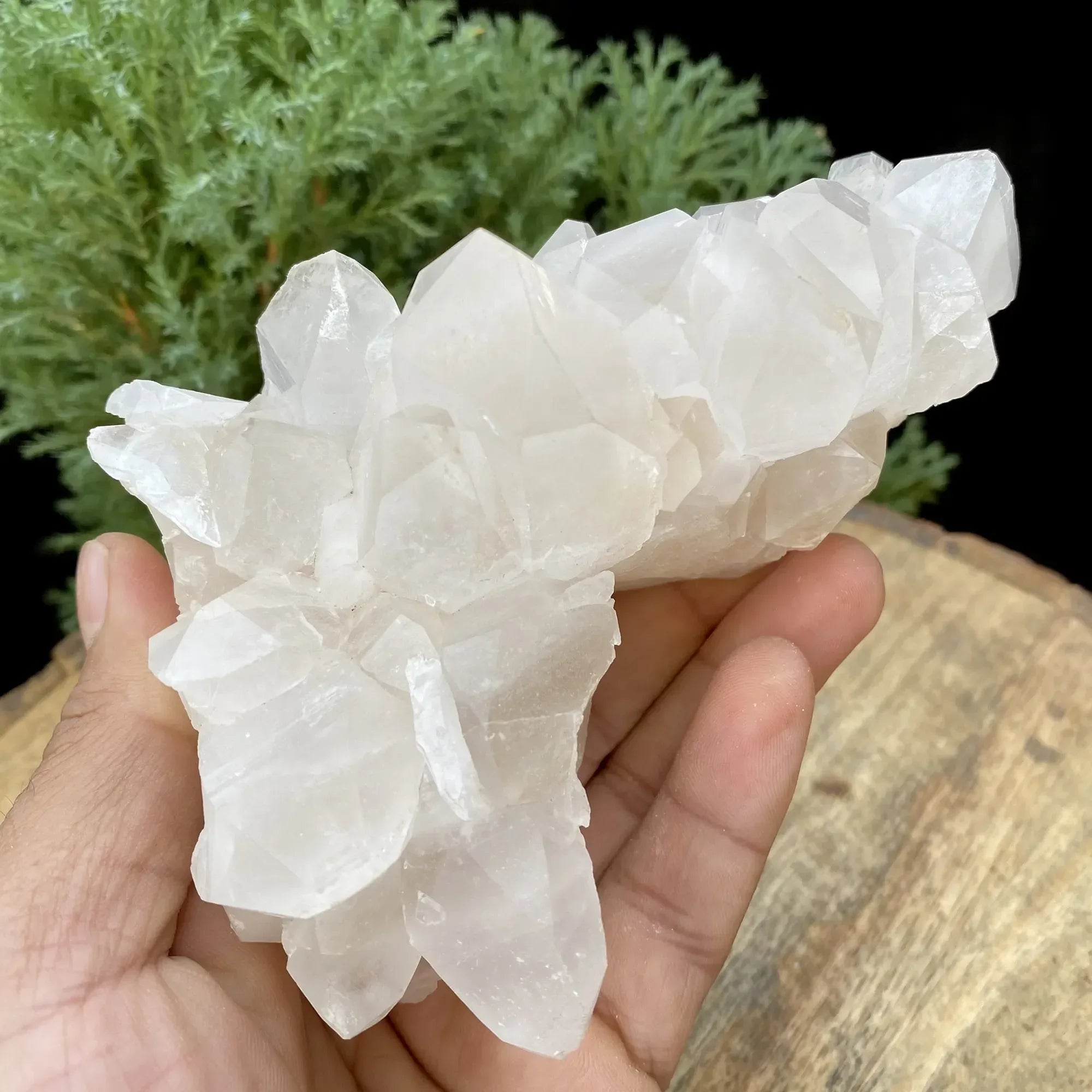 Natural Himalayan White Quartz Cluster 530g Himalayan Quartz