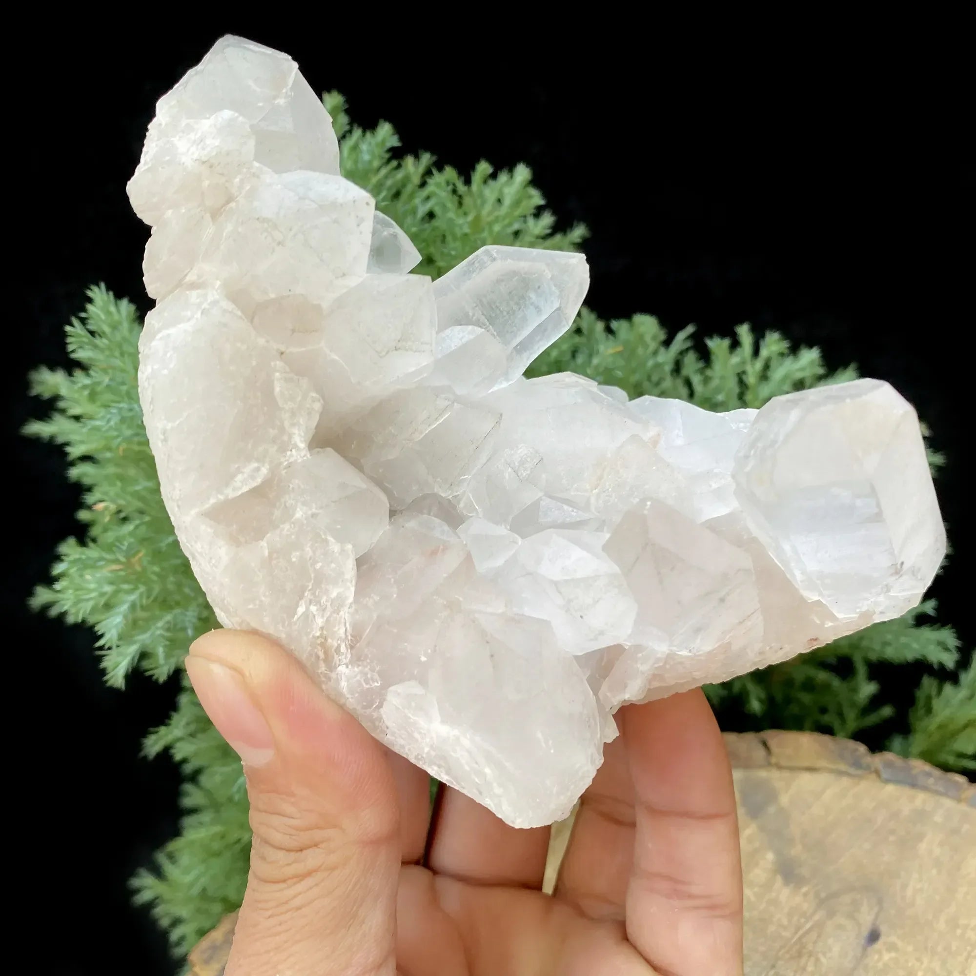 Natural Himalayan White Quartz Cluster 545g Himalayan Quartz