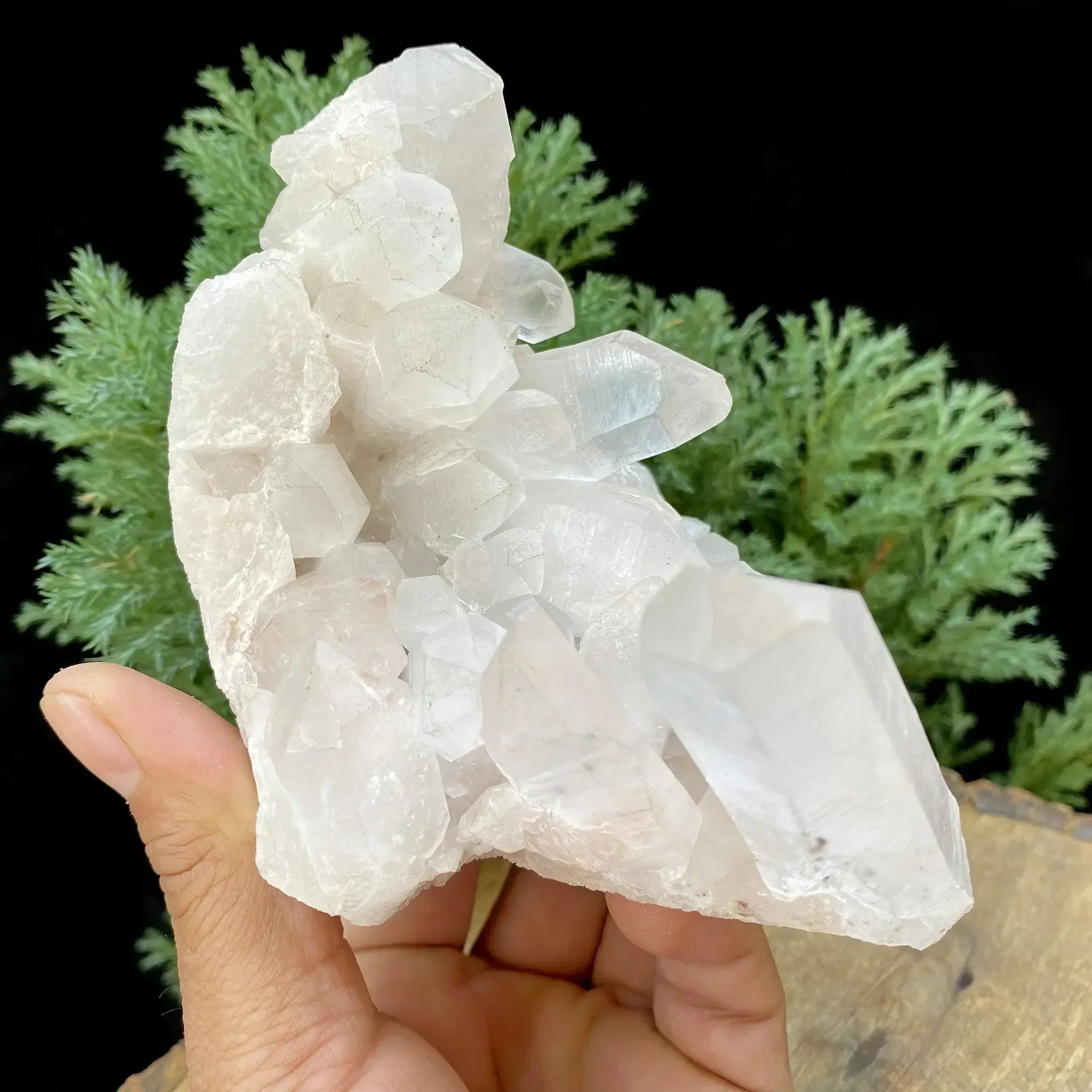 Natural Himalayan White Quartz Cluster 545g Himalayan Quartz