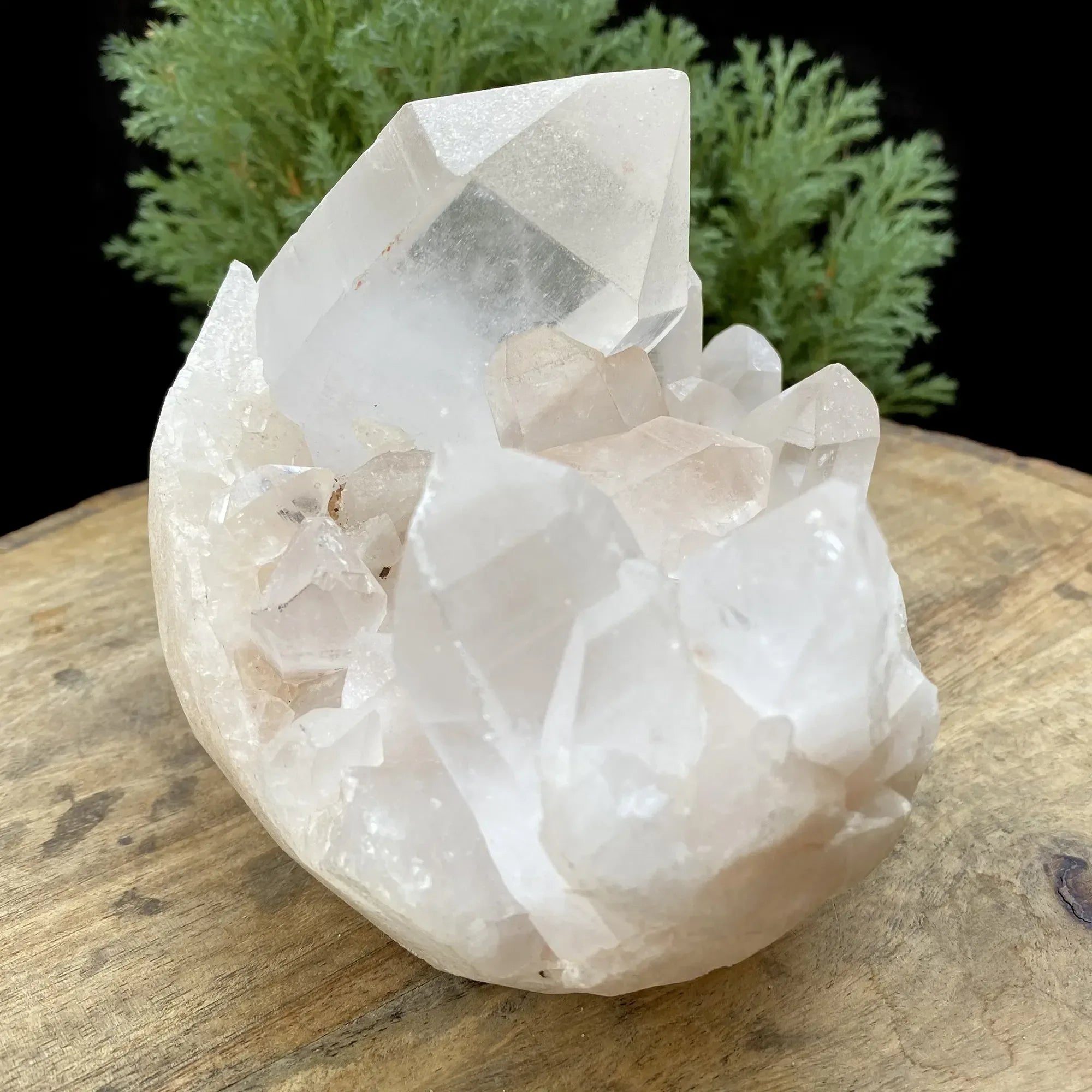 Natural Himalayan Pink & White Quartz Cluster 1655g Himalayan Quartz