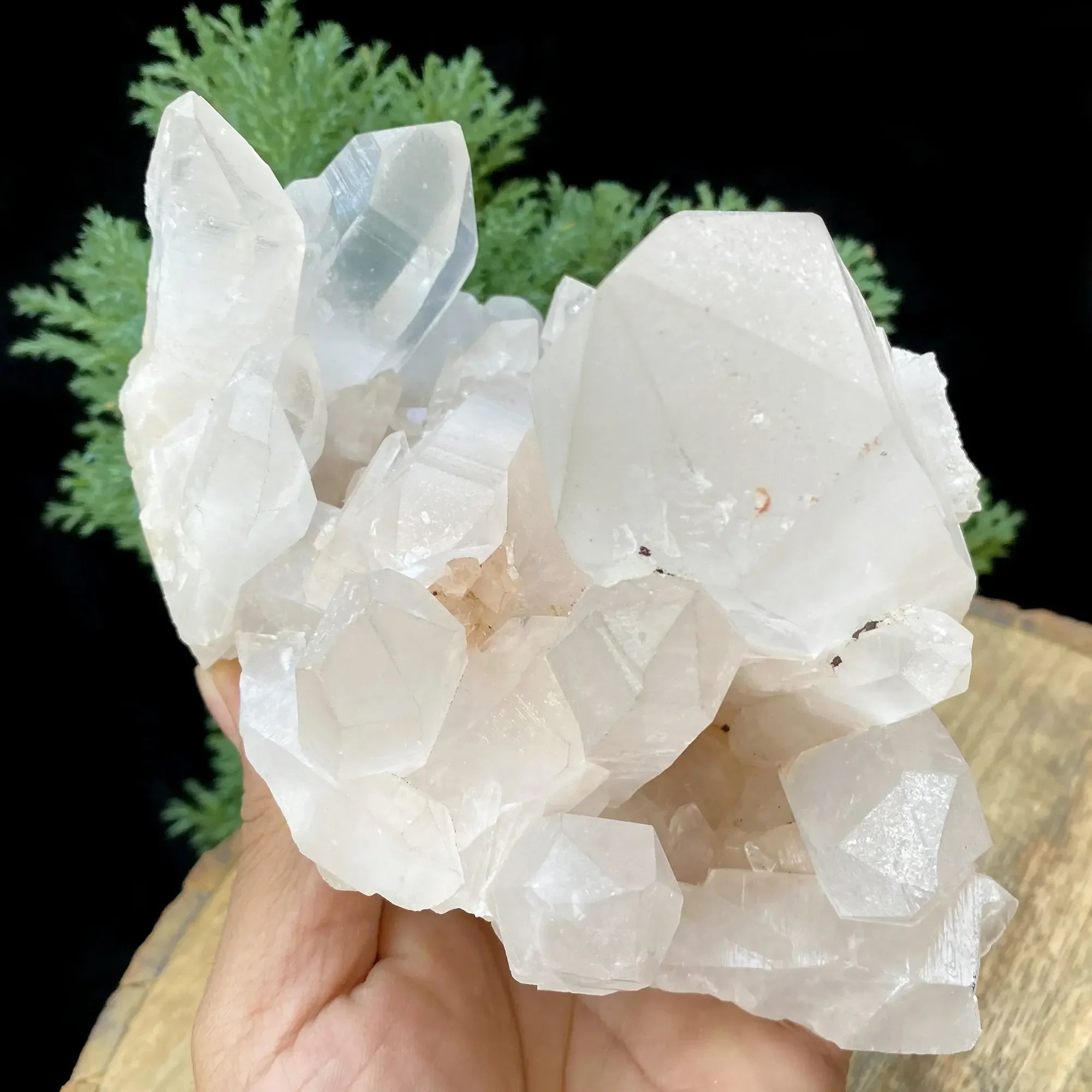 Natural Himalayan Pink & White Quartz Cluster 1655g Himalayan Quartz