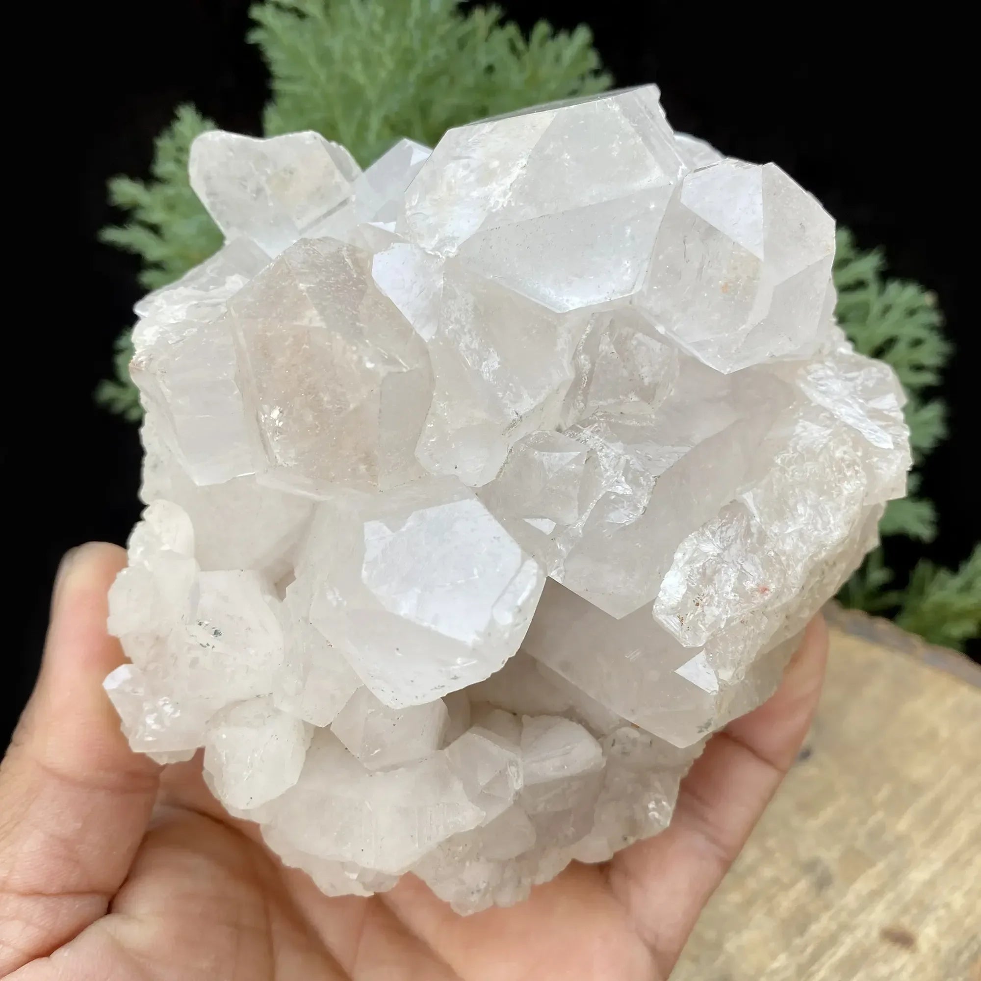 Natural Himalayan White Quartz Cluster 850g Himalayan Quartz