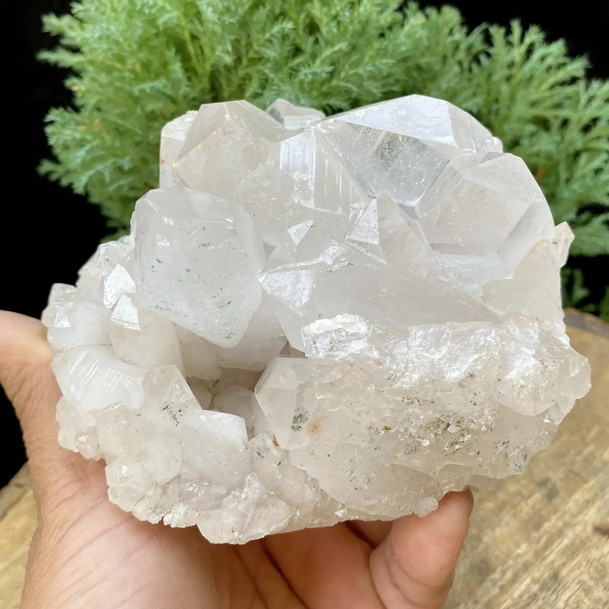 Natural Himalayan White Quartz Cluster 850g Himalayan Quartz